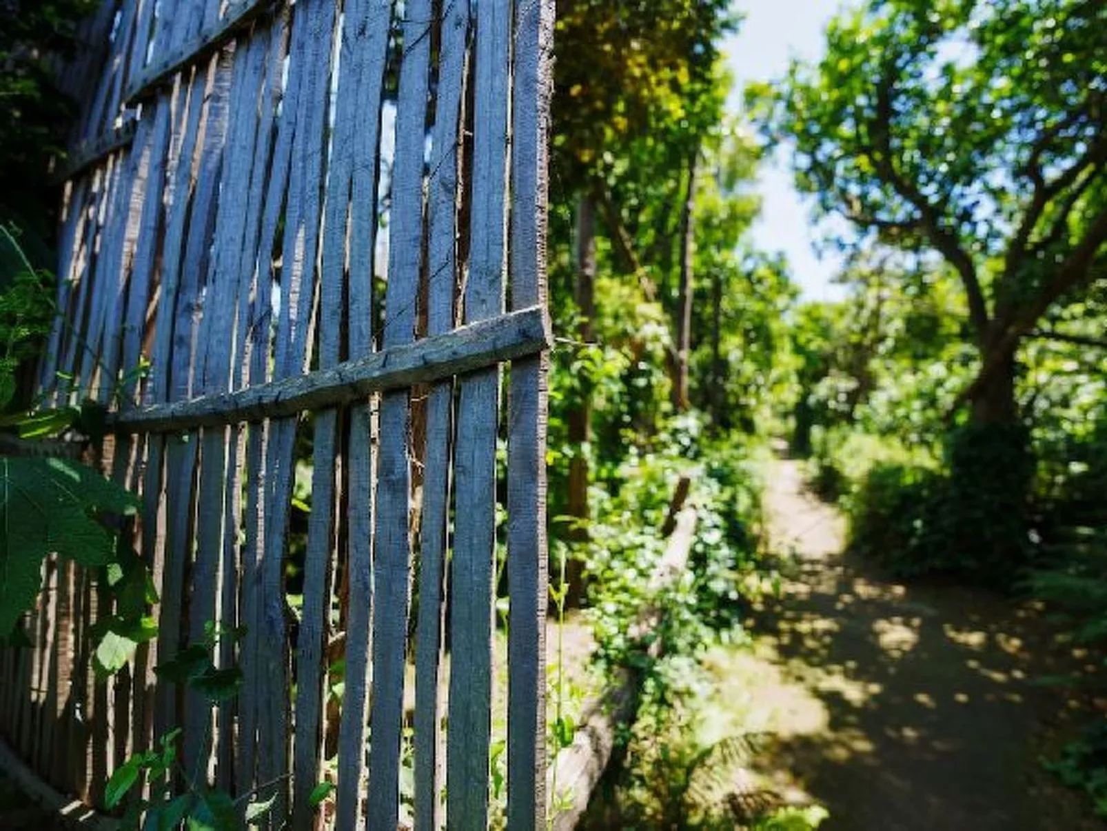 Il terrazzino di Villa Preziosa al Pizzo - Image-tags.info