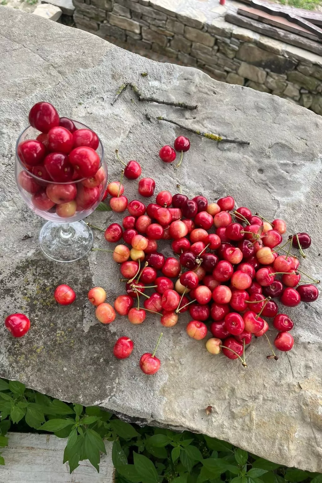 Rustikales und charmantes Doppelzimmer "Olmo Gentile" - Inside