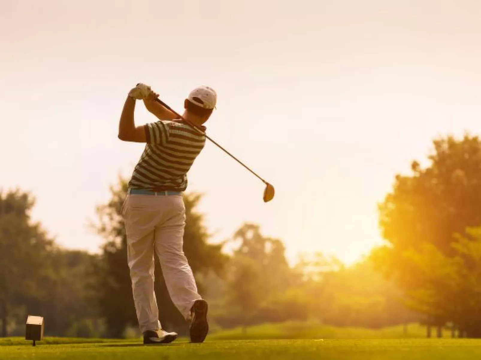 Finca Can Nin - Image-tags.info