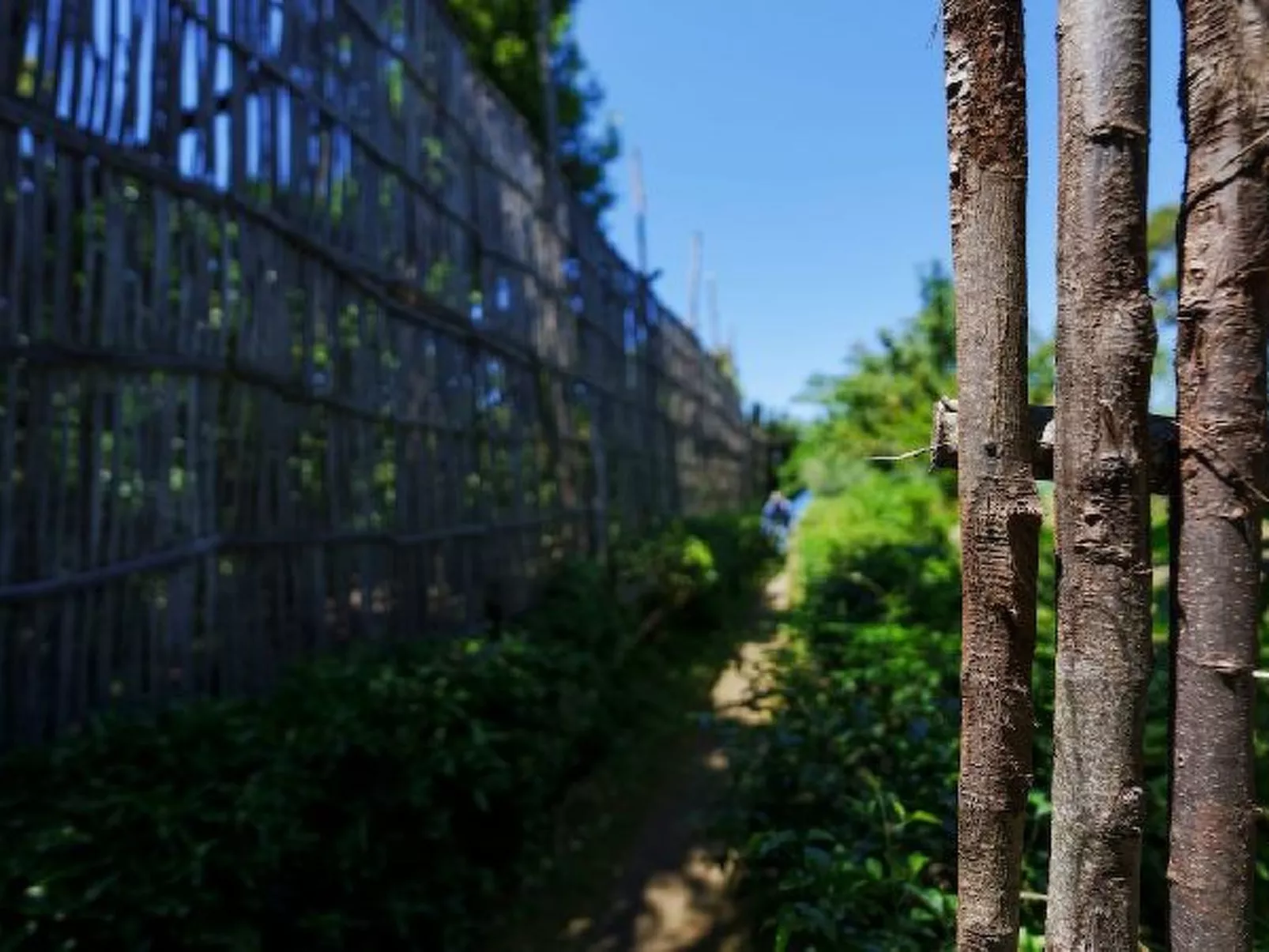 Il terrazzino di Villa Preziosa al Pizzo - Image-tags.info