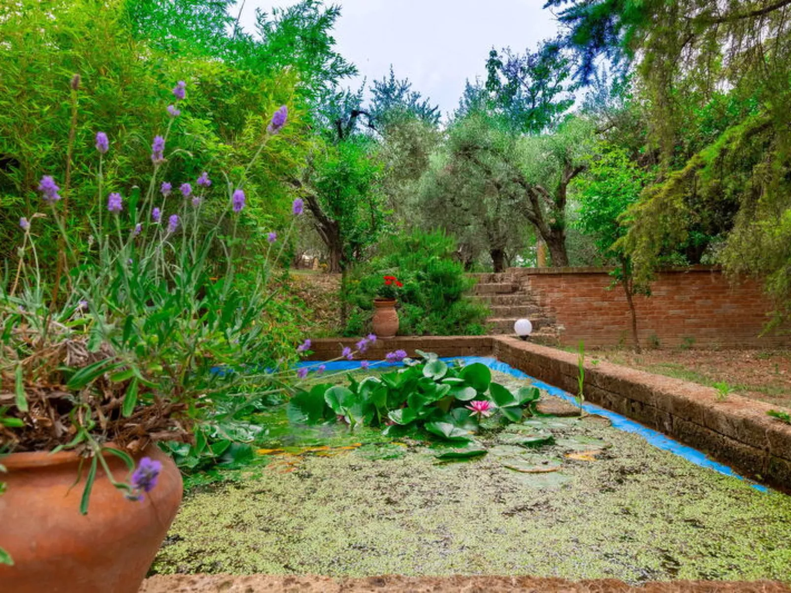 Villa Rosso Corbezzolo - Dehors