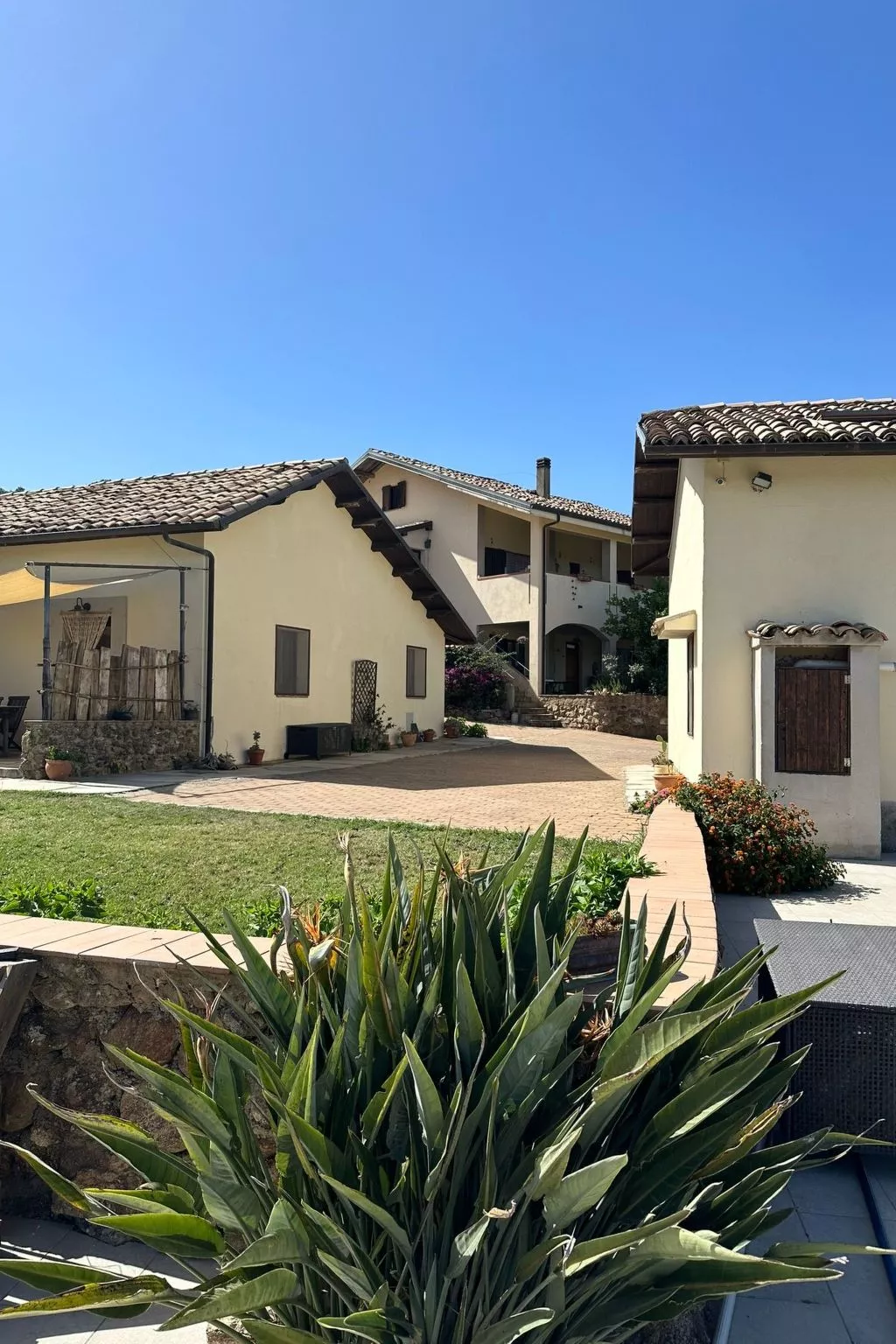 Tolles Reihenhaus im Olivenhain - Draußen