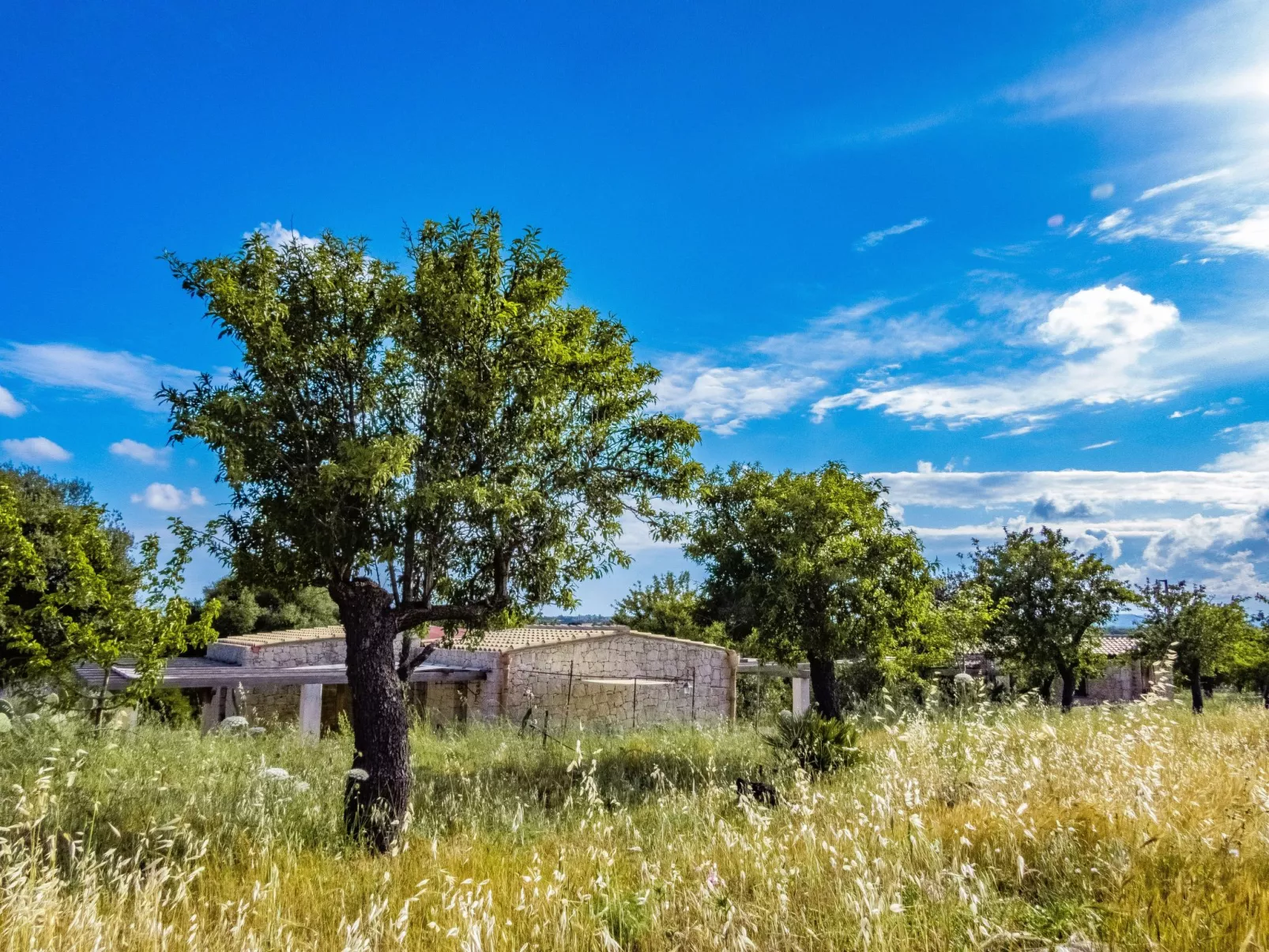 Casa Bedda - Image-tags.info