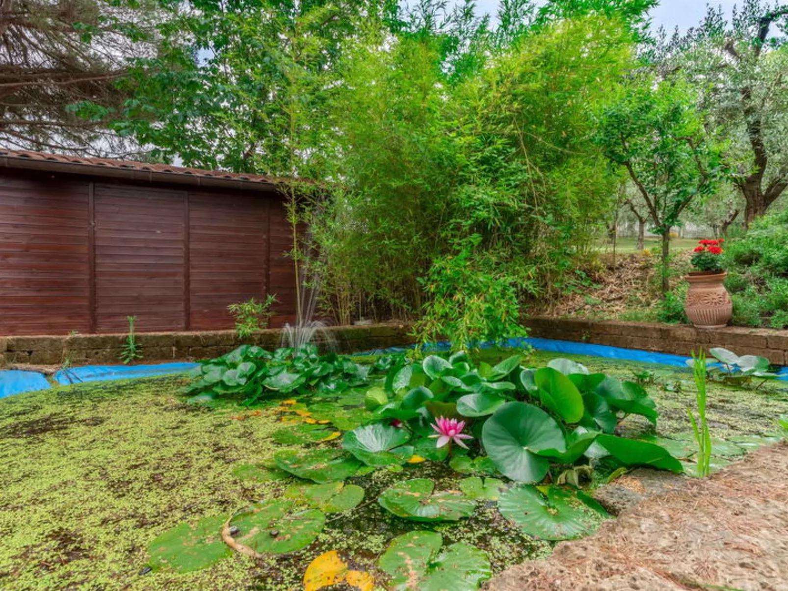 Villa Rosso Corbezzolo - Dehors