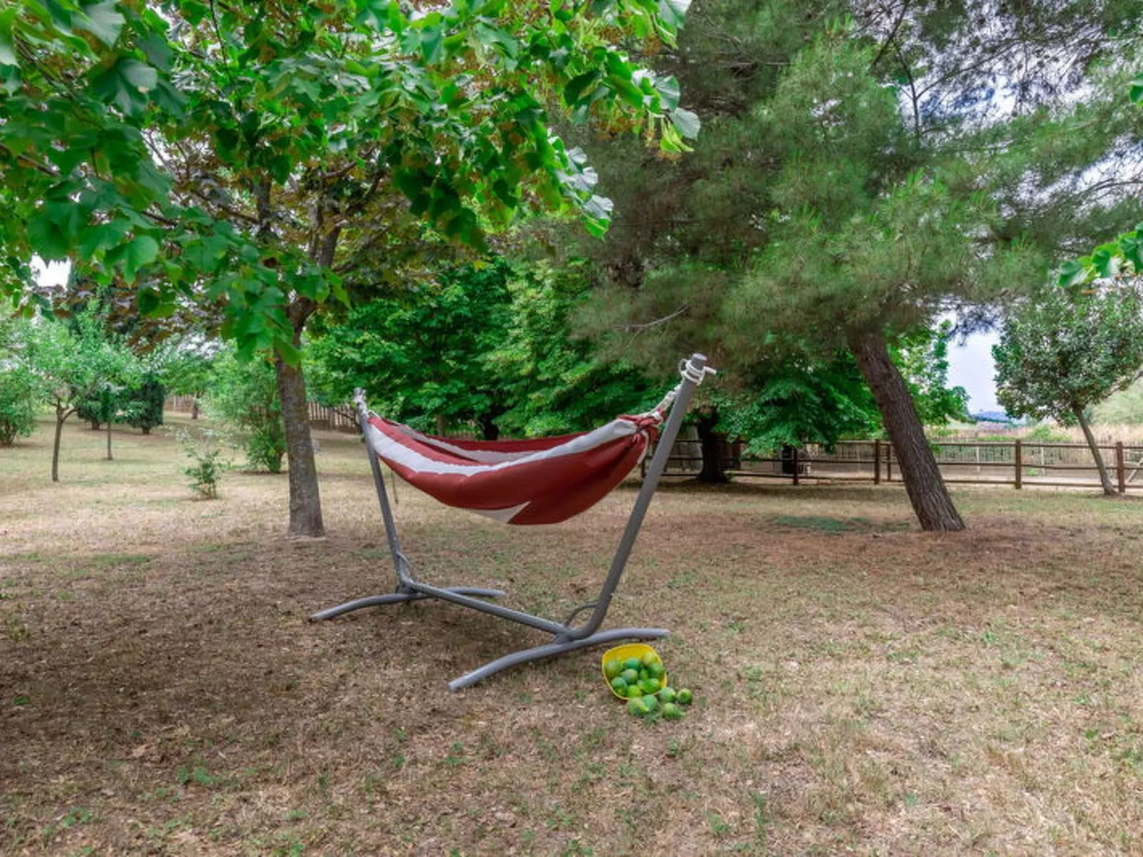 Villa Rosso Corbezzolo - Dehors