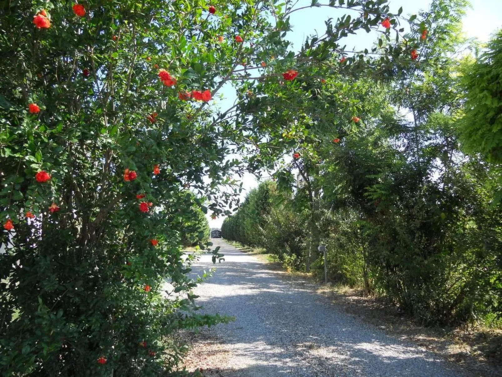 Miniwohnung in Ferrara mit Garten - Outside