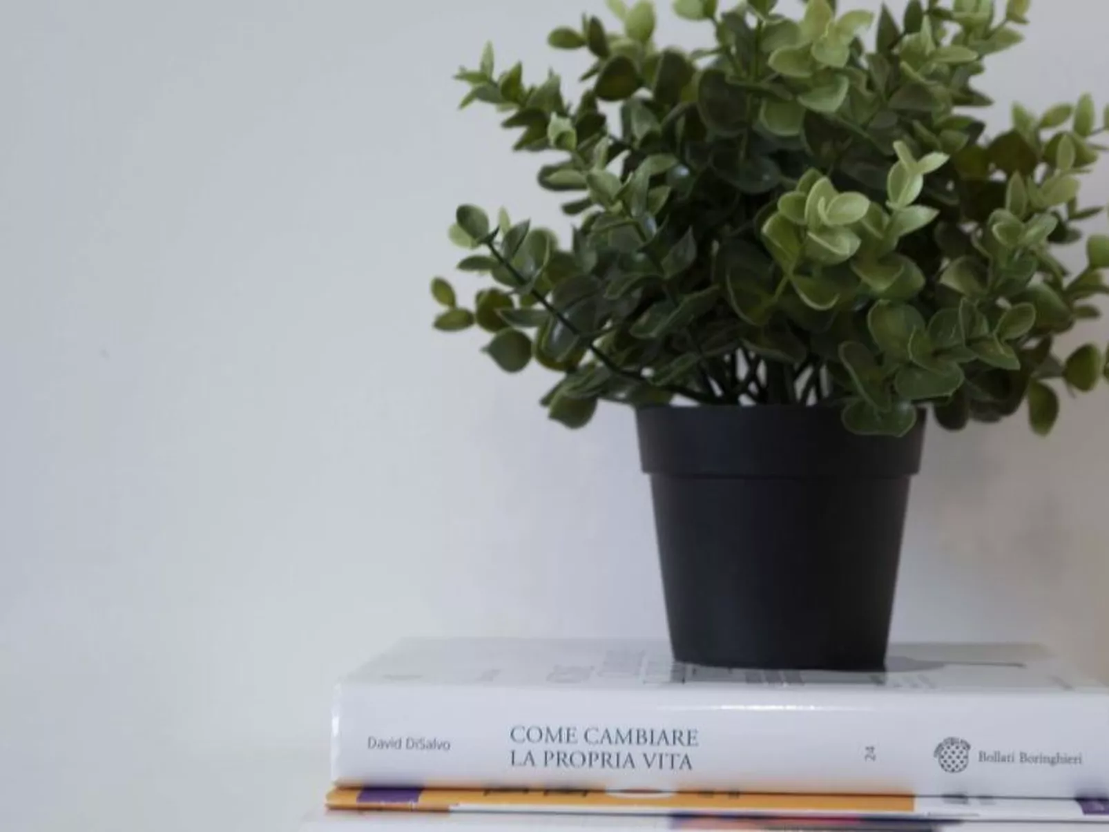 Novoli Suite Apartment - Dedans