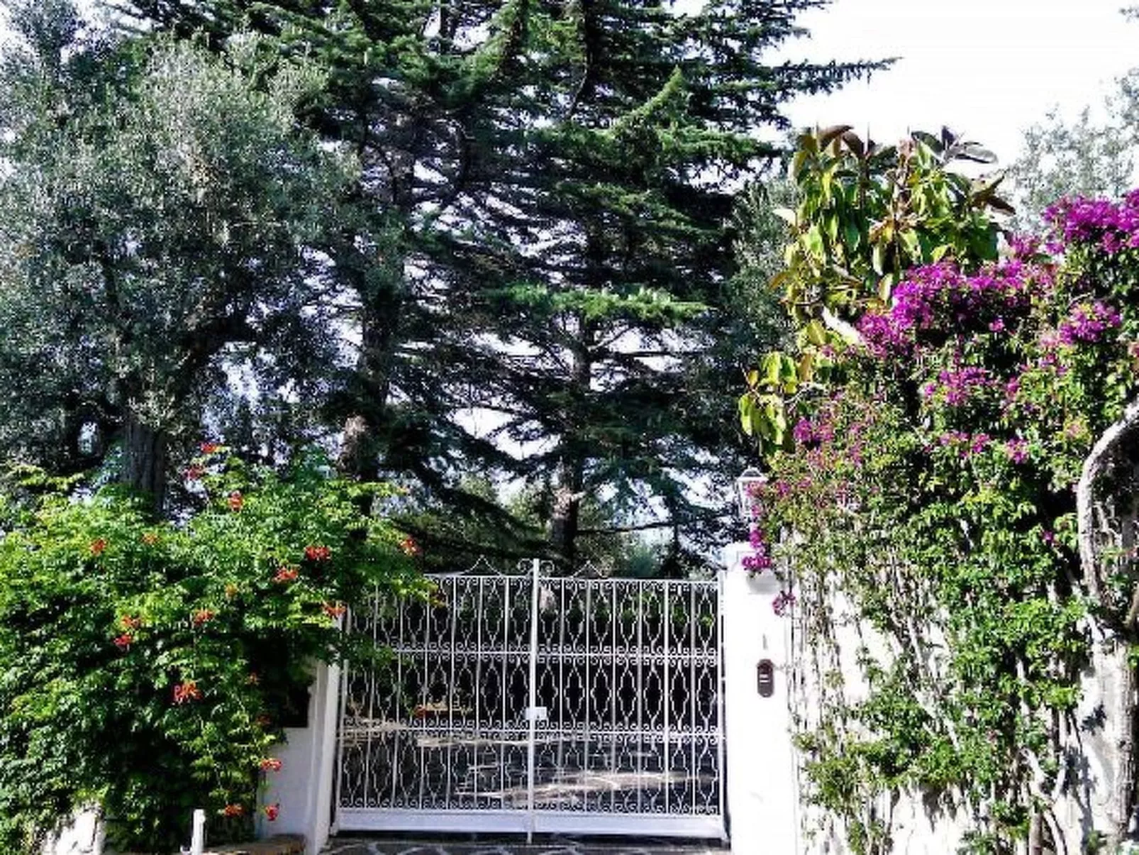 Villa le Olivine Less then 5 min to Sorrento - Image-tags.info