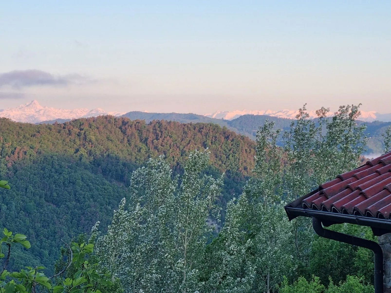 Rustikales und charmantes Doppelzimmer "Olmo Gentile" - Outside