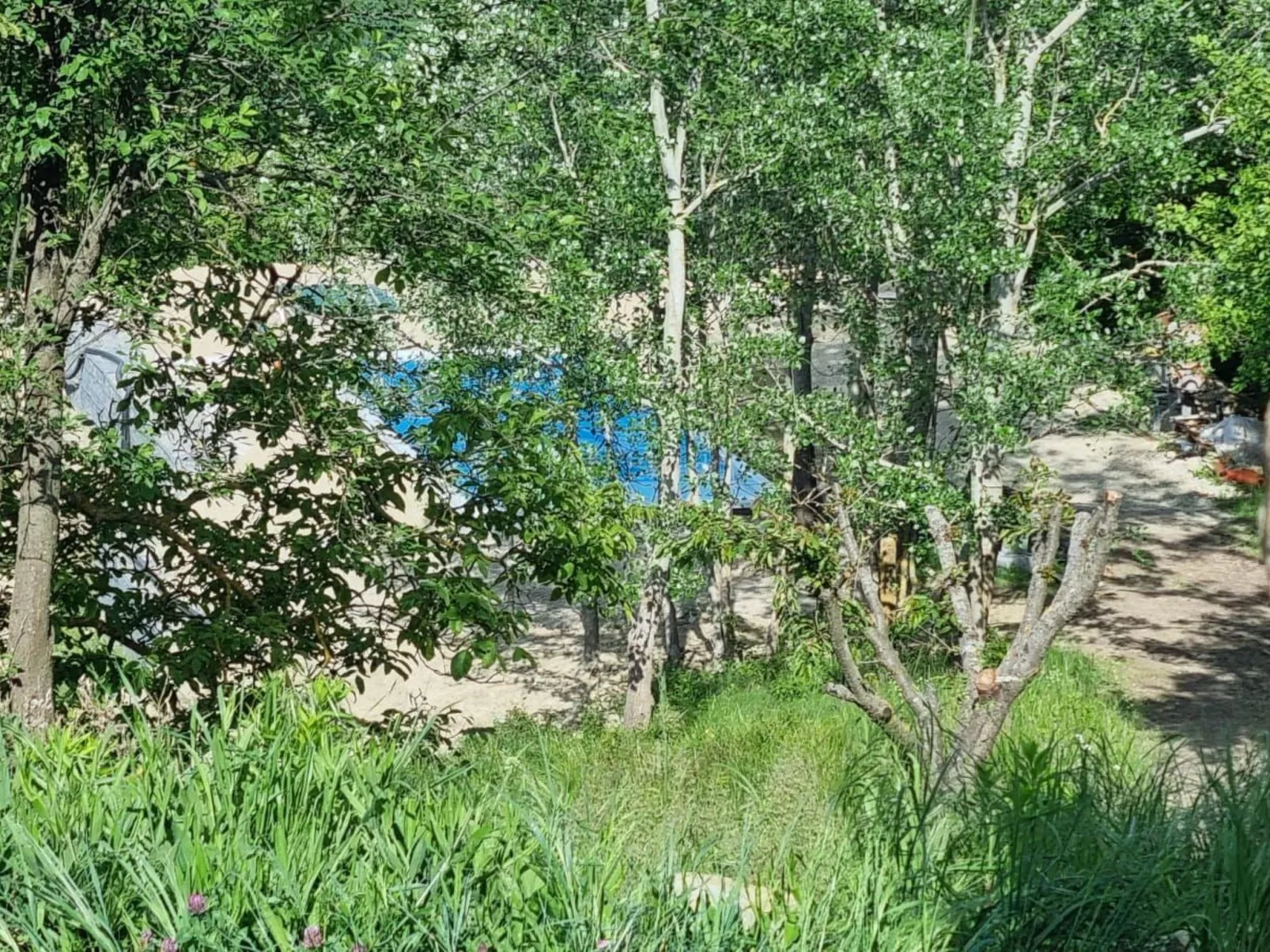 Rustikales und charmantes Doppelzimmer "Olmo Gentile" - Image-tags.info