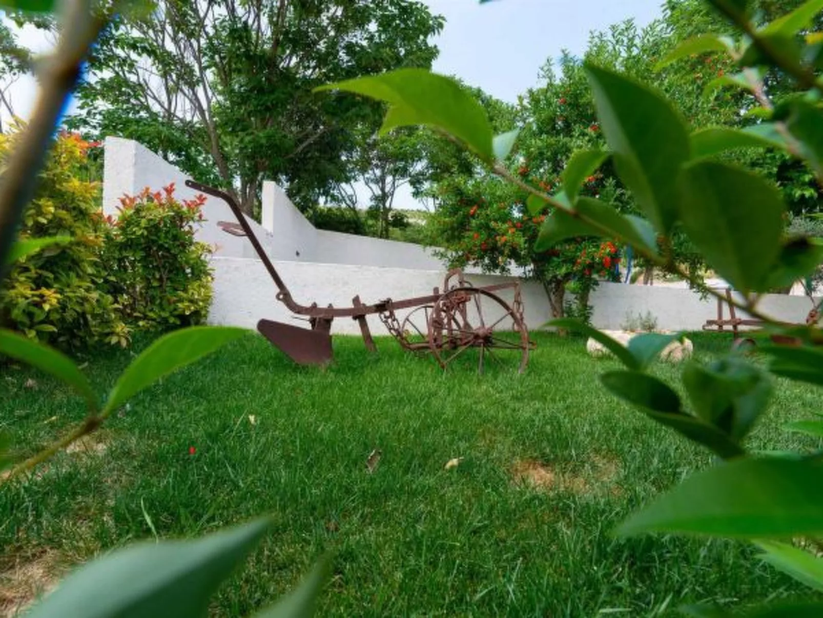 Villa Didovi snovi with pool - Image-tags.info