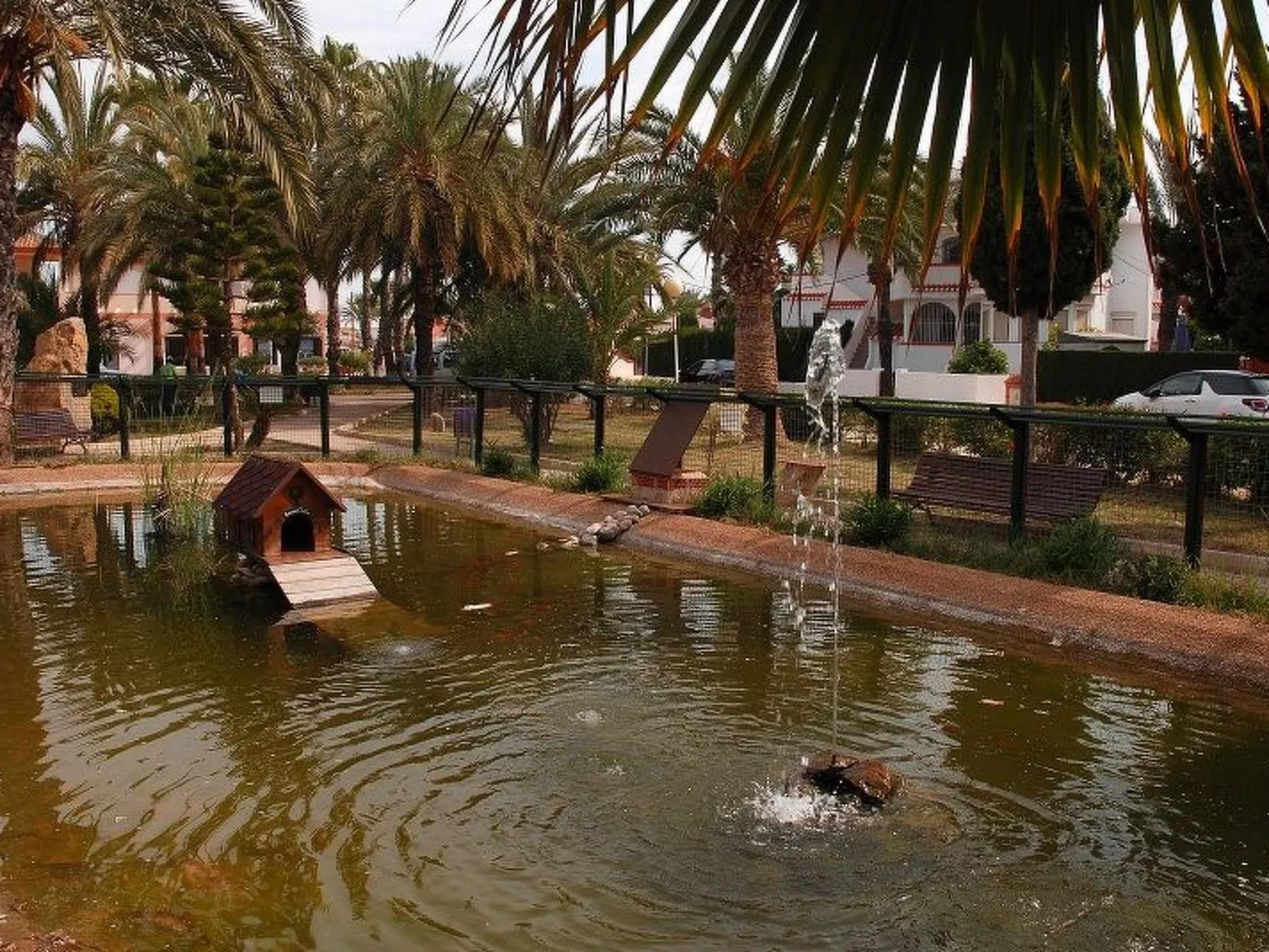 Violeta 17 - Image-tags.info