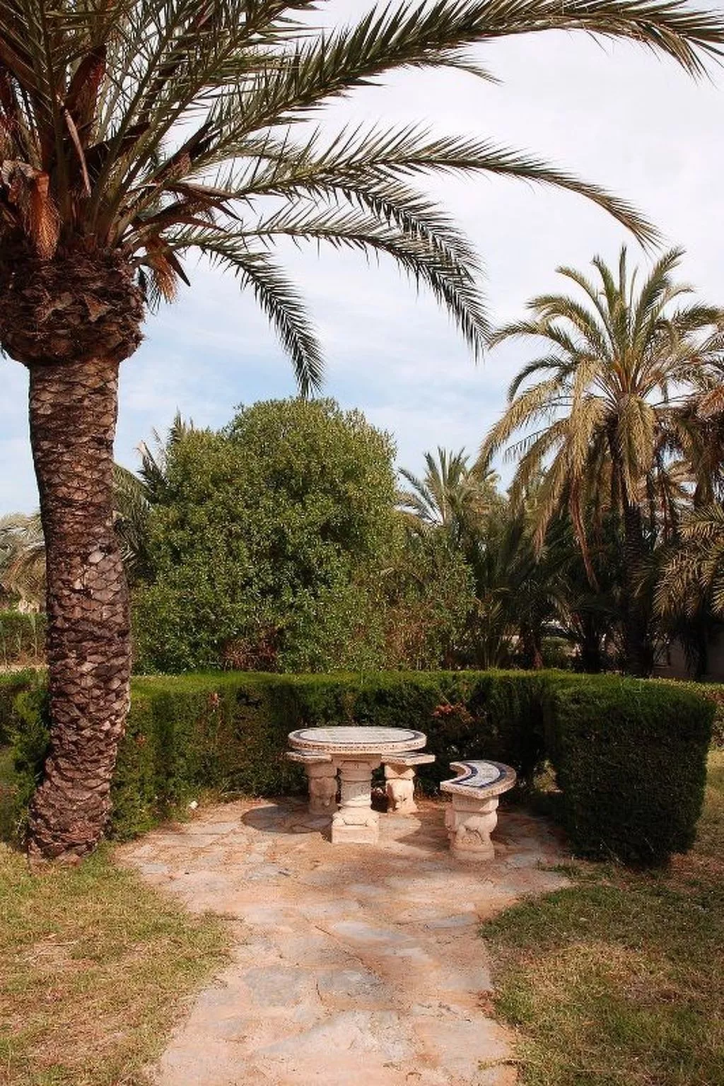 Violeta 17 - Image-tags.info