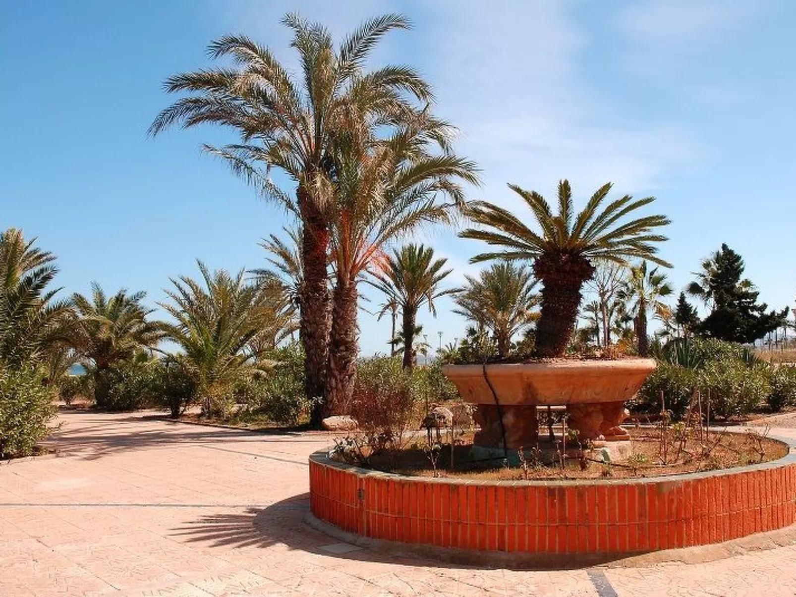 Violeta 17 - Image-tags.info