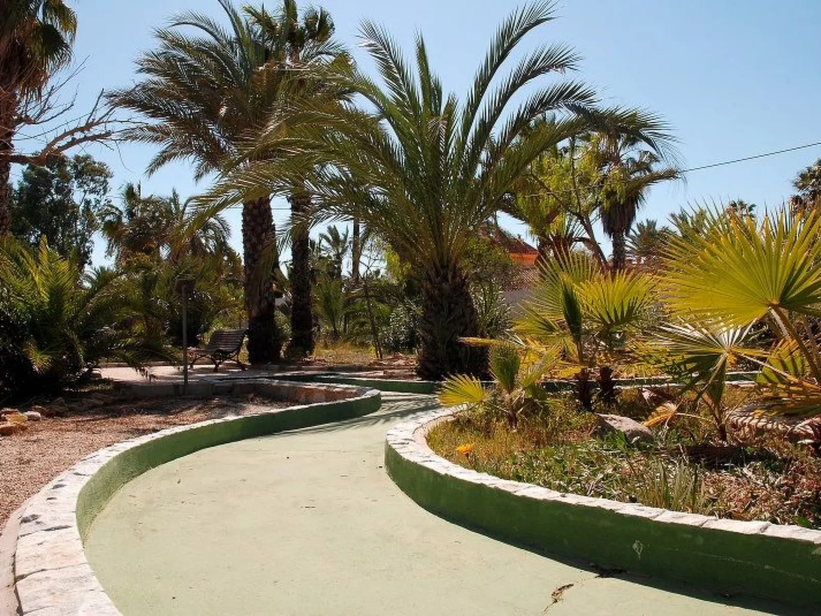 Violeta 17 - Image-tags.info