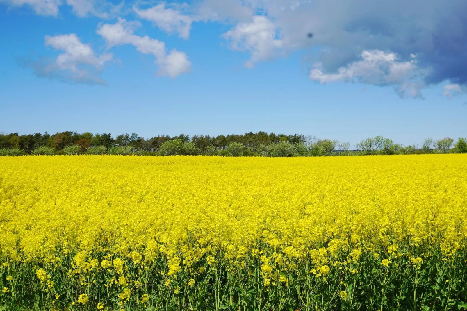 4 Sterne Ferienhaus in Gotlands Tofta - Nicht zugeordnet