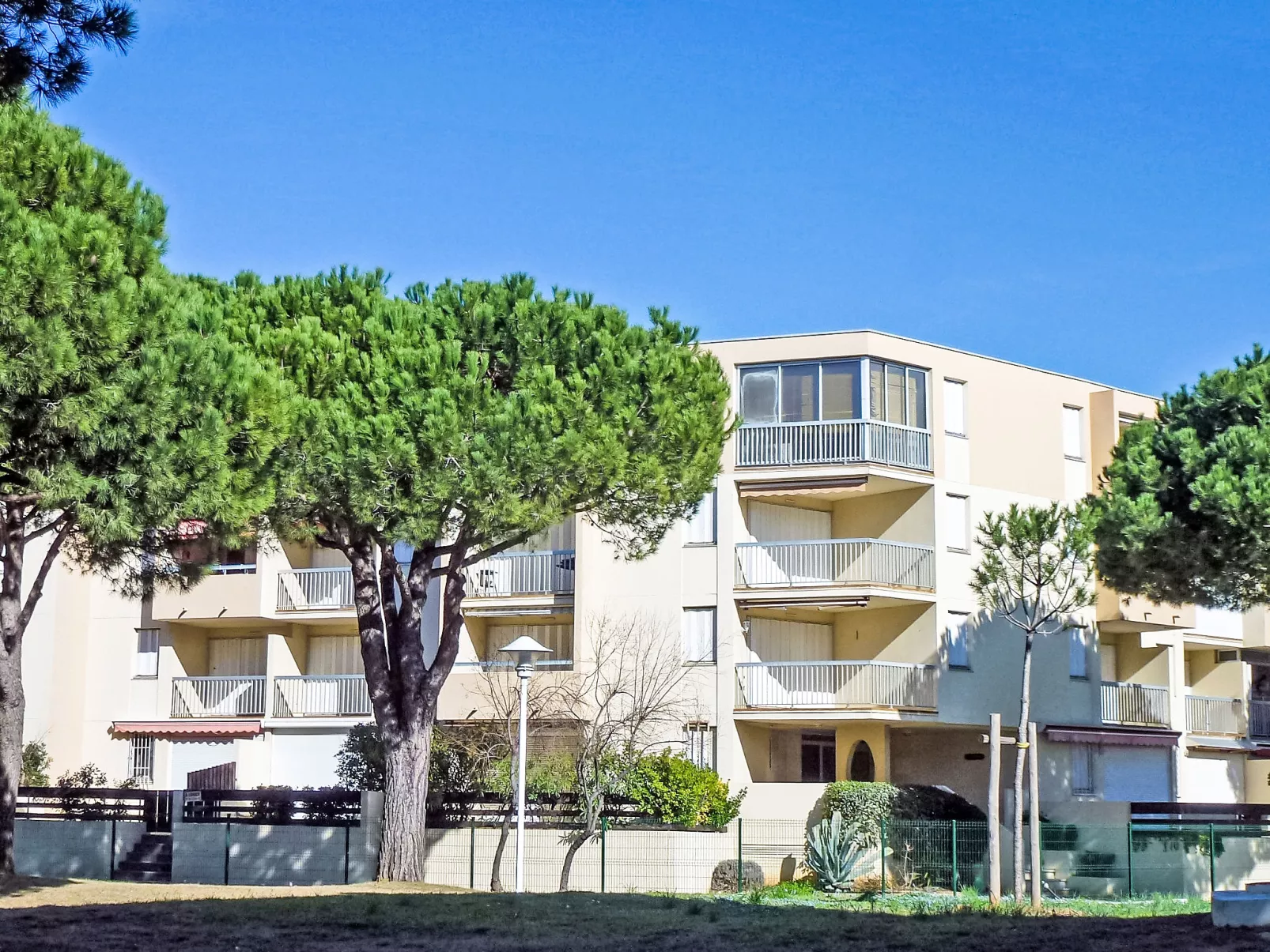 Los Amigos - Draußen