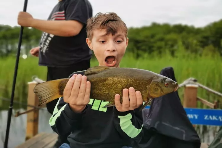 Dom wakacyjny nad jeziorem Goszcza w Lubrzy dla max 4 osób - Areas within 1km in summer