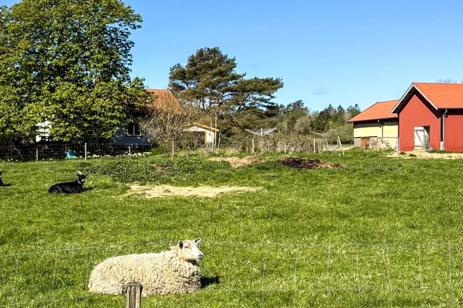 Ferienhaus am Meer am Gullmarsfjord