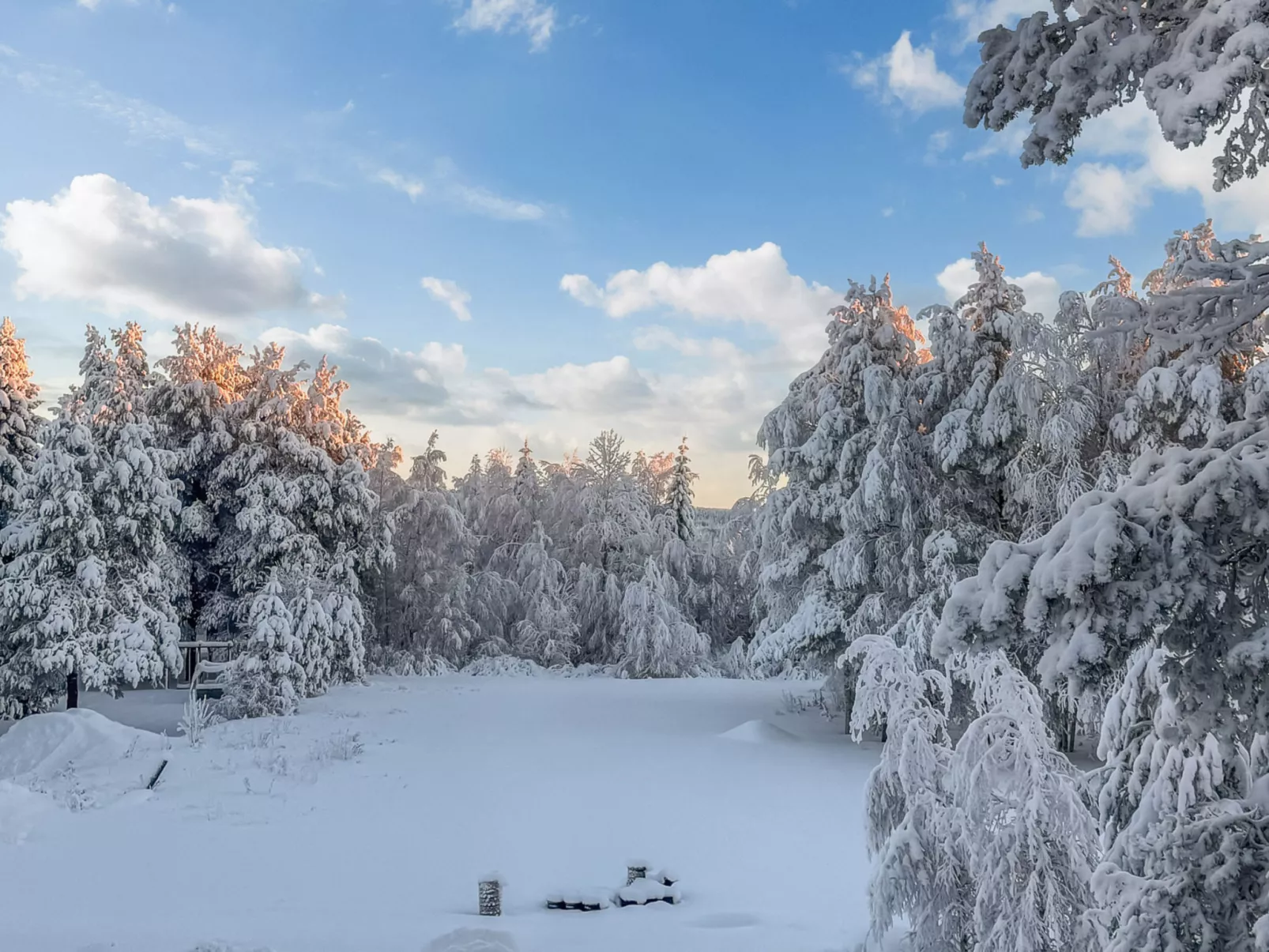 The cozy loggers suite