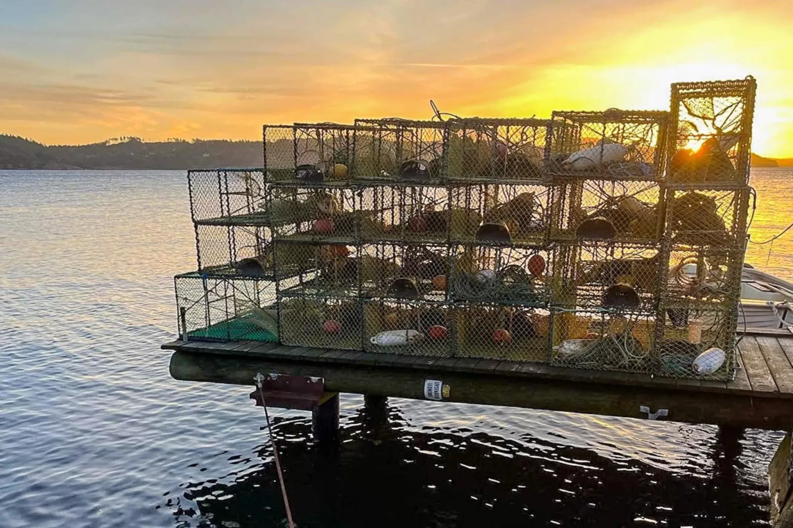 Ferienhaus am Meer am Gullmarsfjord - Nicht zugeordnet