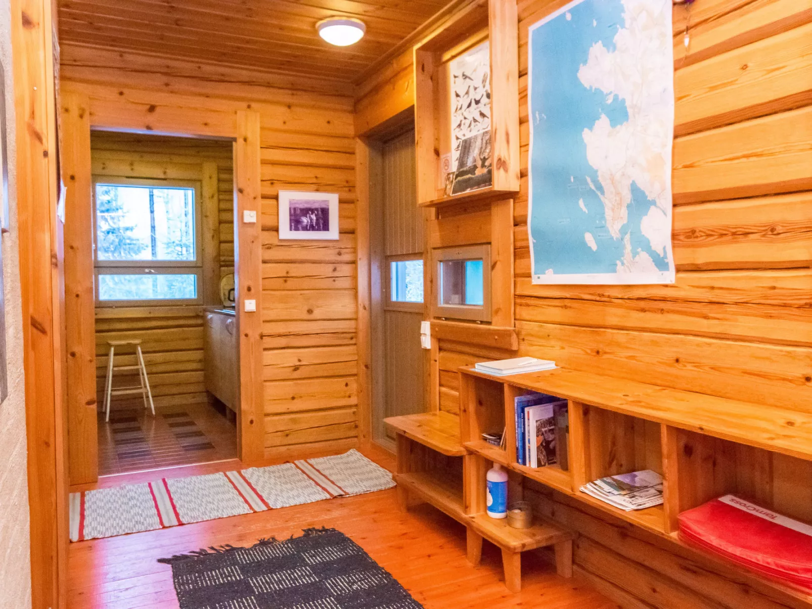 Luhtalemmikki - Dedans