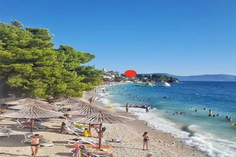 Apartments Kamaki - One Bedroom Apartment with Terrace and Sea View - A1 - Ambiance