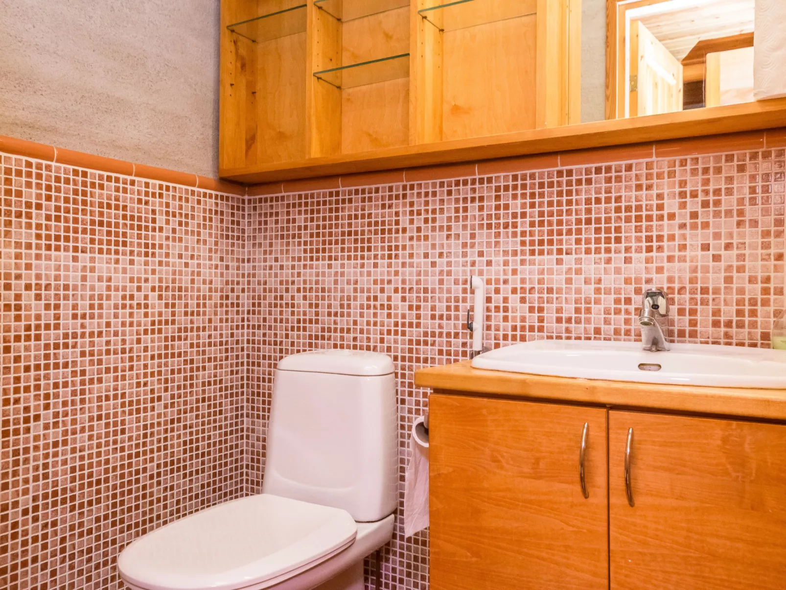 Luhtalemmikki - Dedans