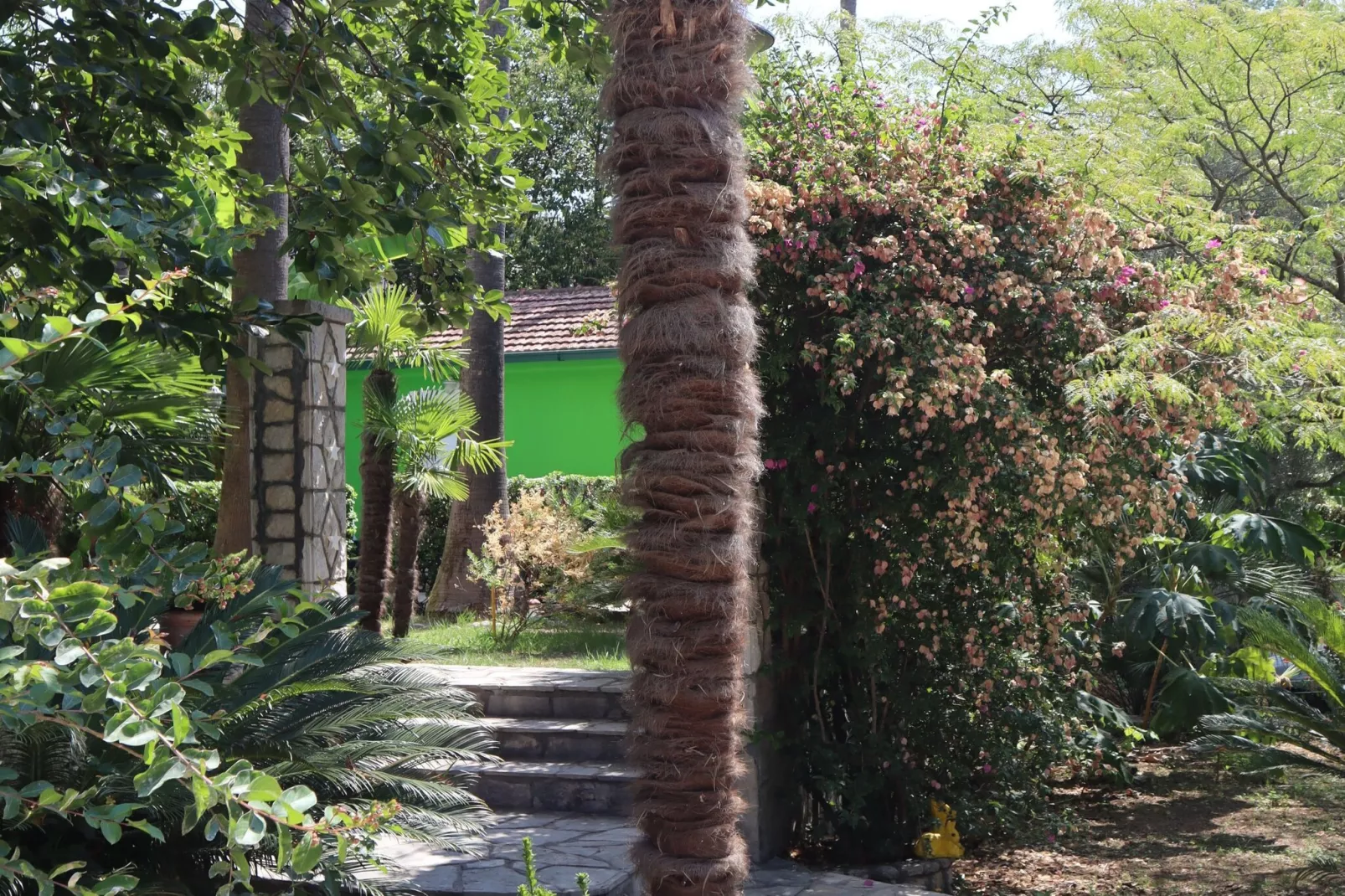 Six-bed room 1 - Outdoor