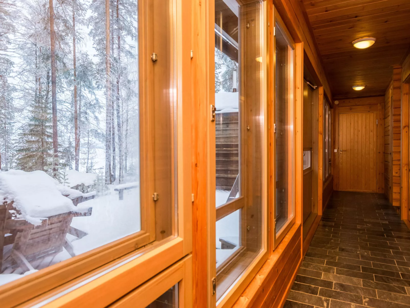 Luhtalemmikki - Dedans