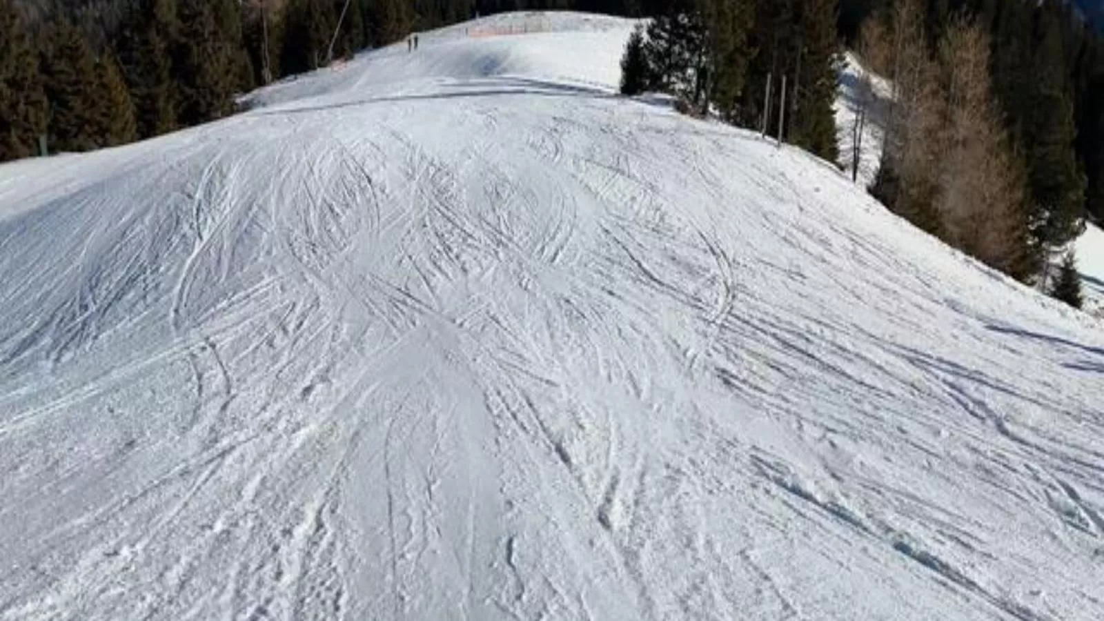 Feistritz Berg und See - Gebiet Winter 20 km