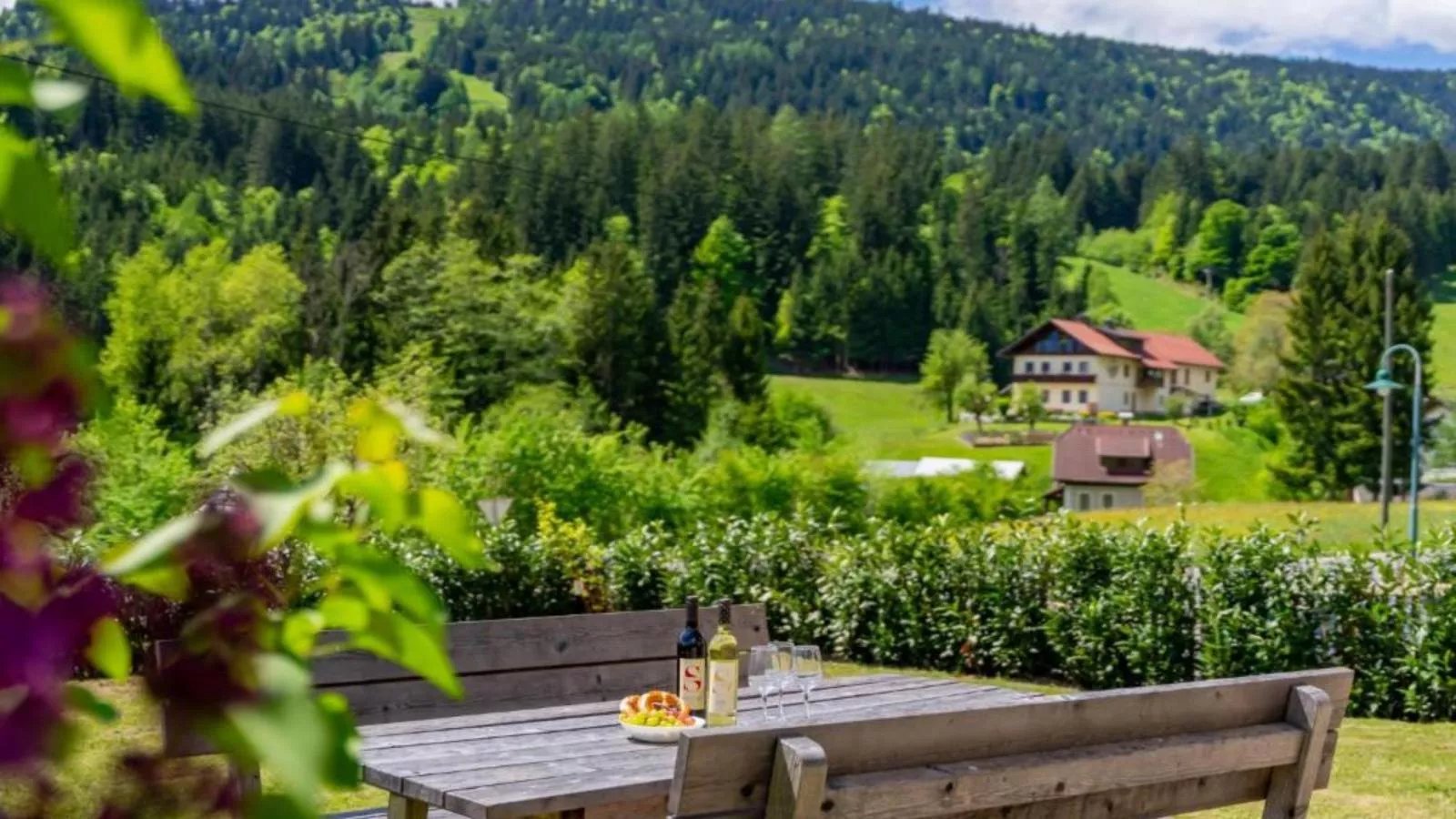 Jukbichl 1 - Terrace balcony
