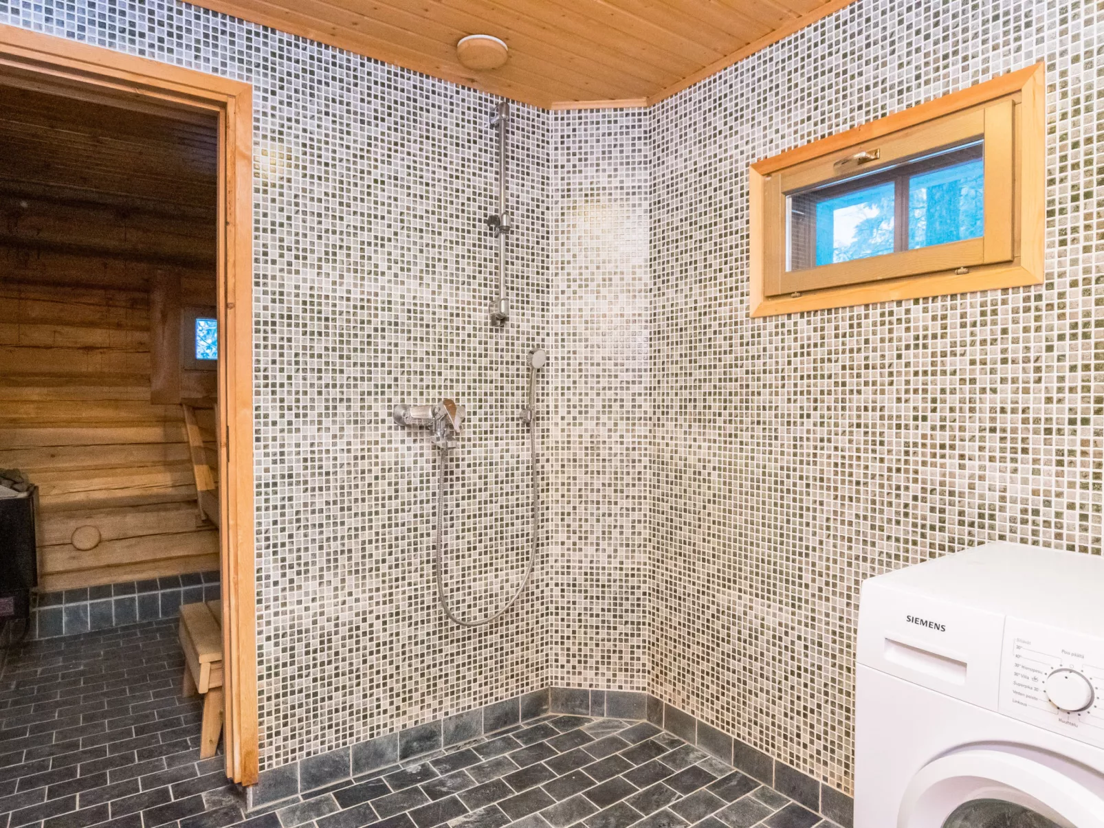 Luhtalemmikki - Dedans