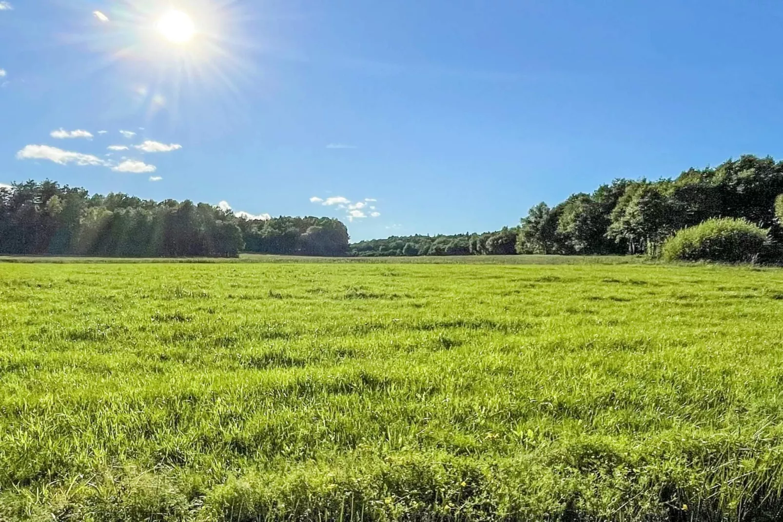 Ferienhaus am Meer am Gullmarsfjord - Nicht zugeordnet