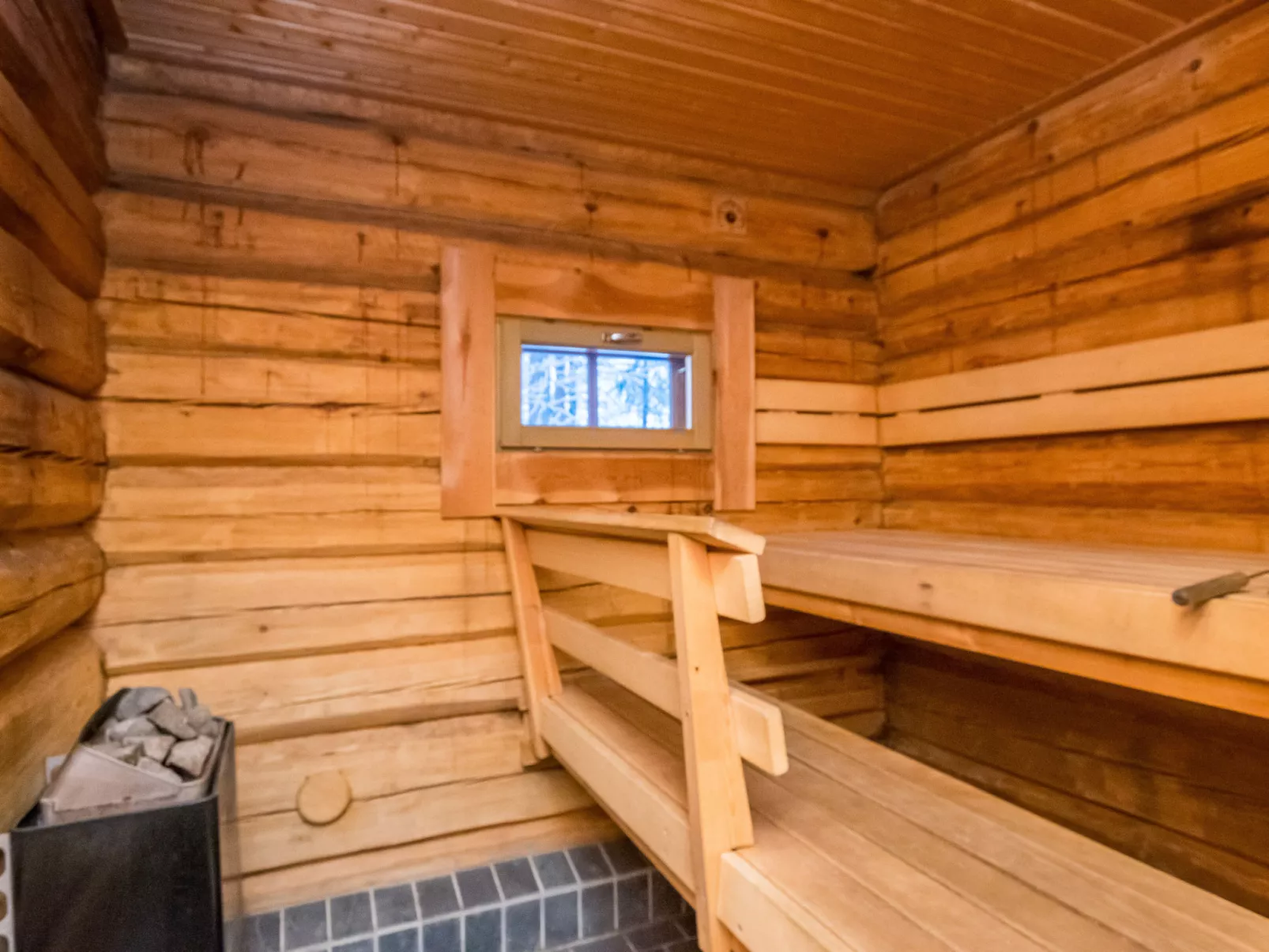 Luhtalemmikki - Dedans