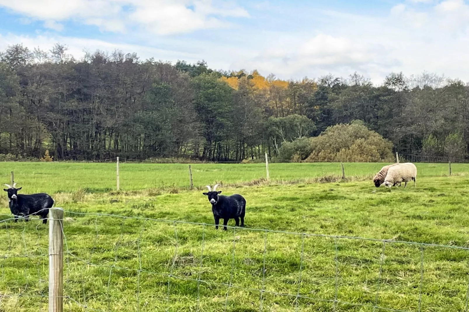 Ferienhaus am Meer am Gullmarsfjord - Nicht zugeordnet