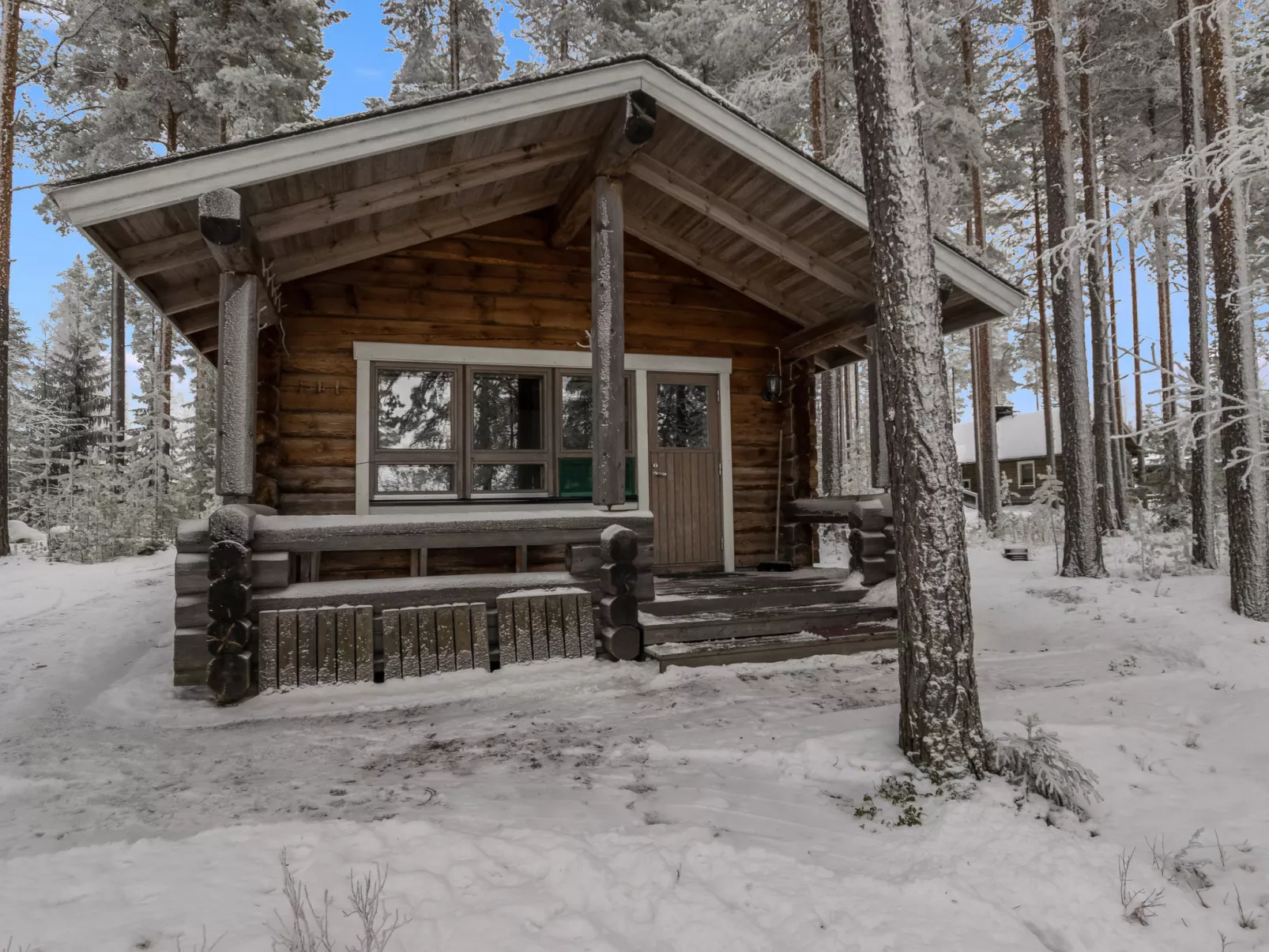 Luhtalemmikki - Dedans