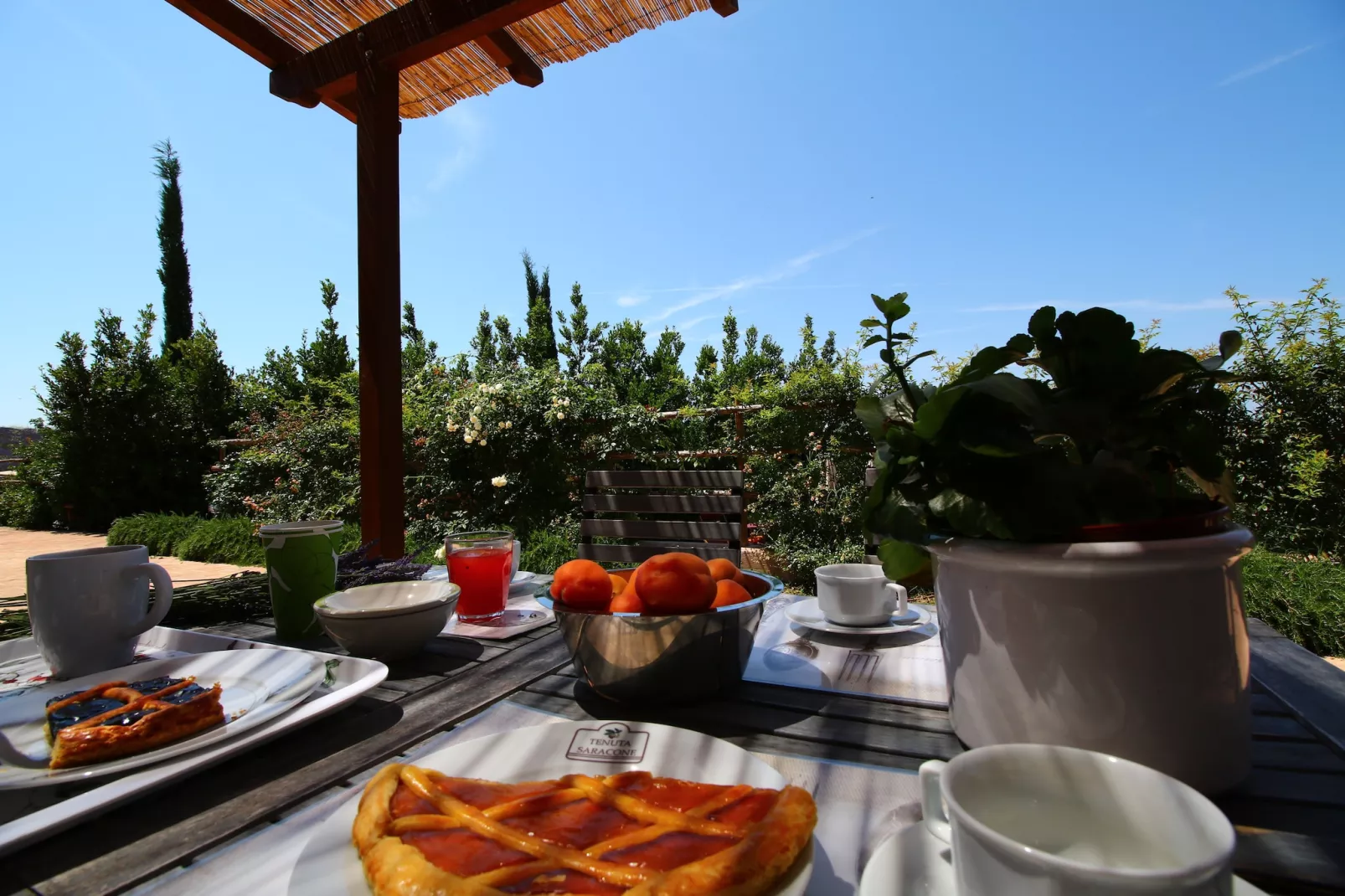 Lavanda - Terrasse/Balkon
