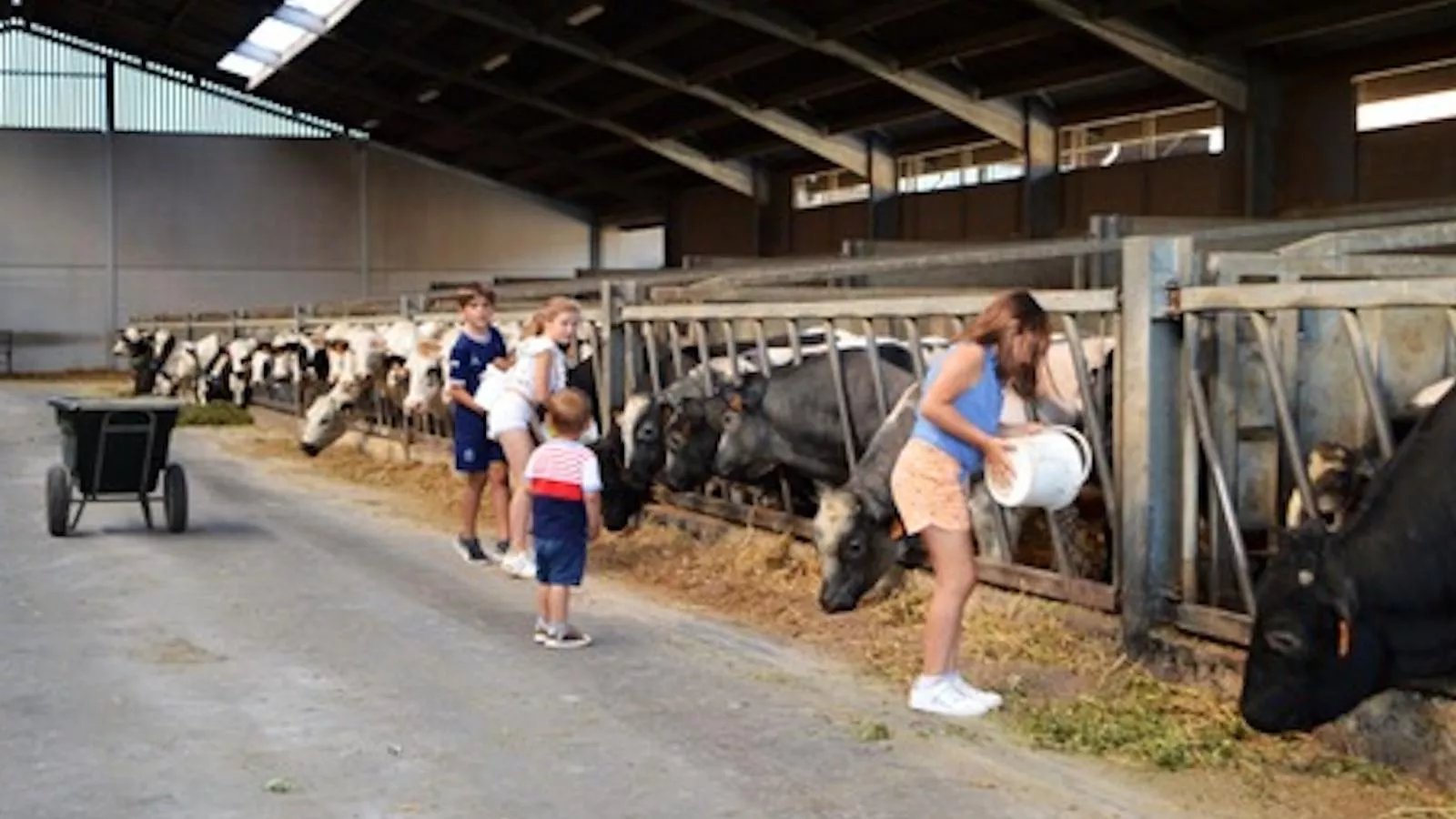 Rozenberghoeve - Areas within 1km in summer