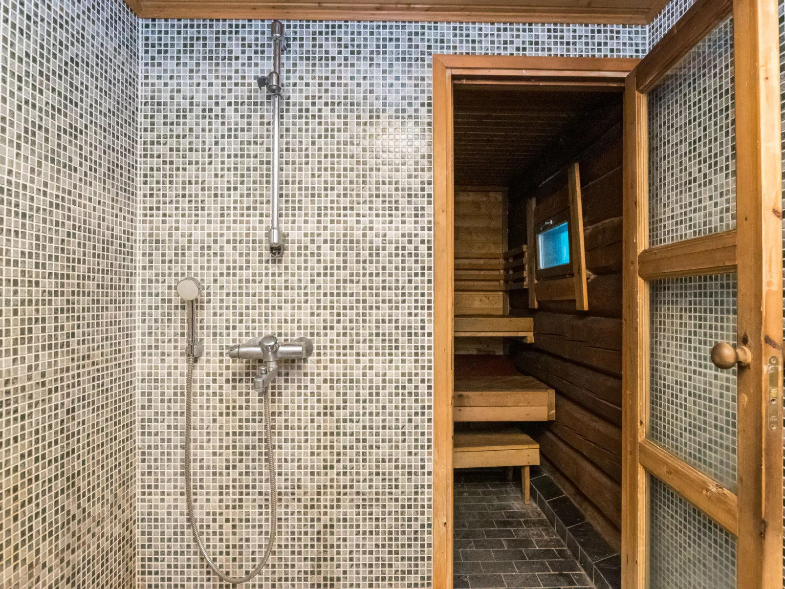 Luhtalemmikki - Dedans