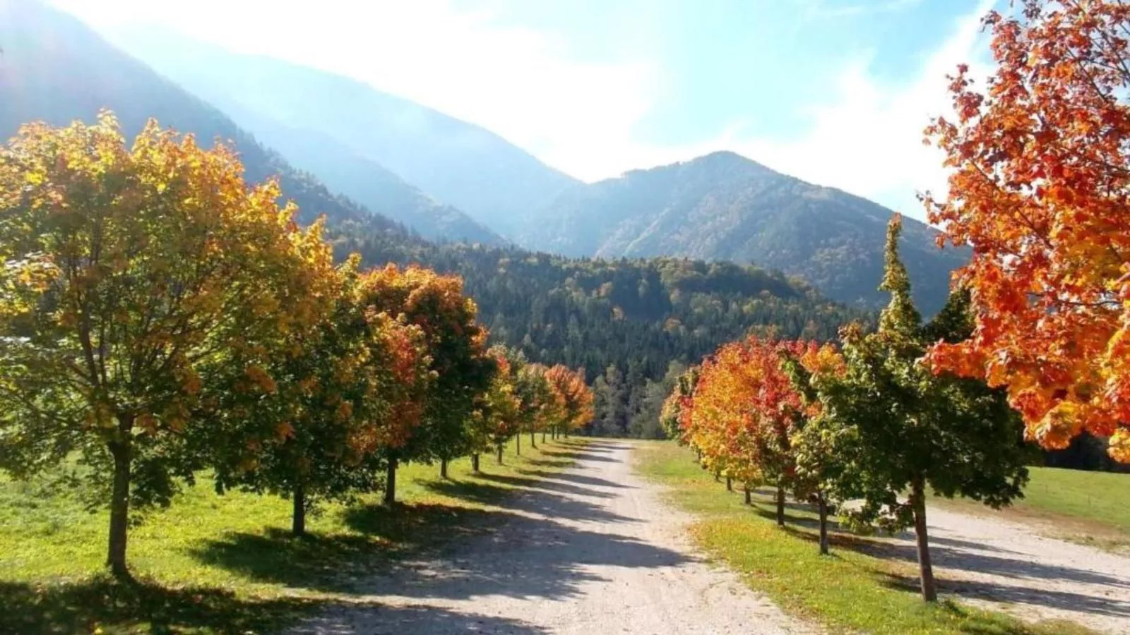 Sonnenblick - Gebiete Sommer 20 km