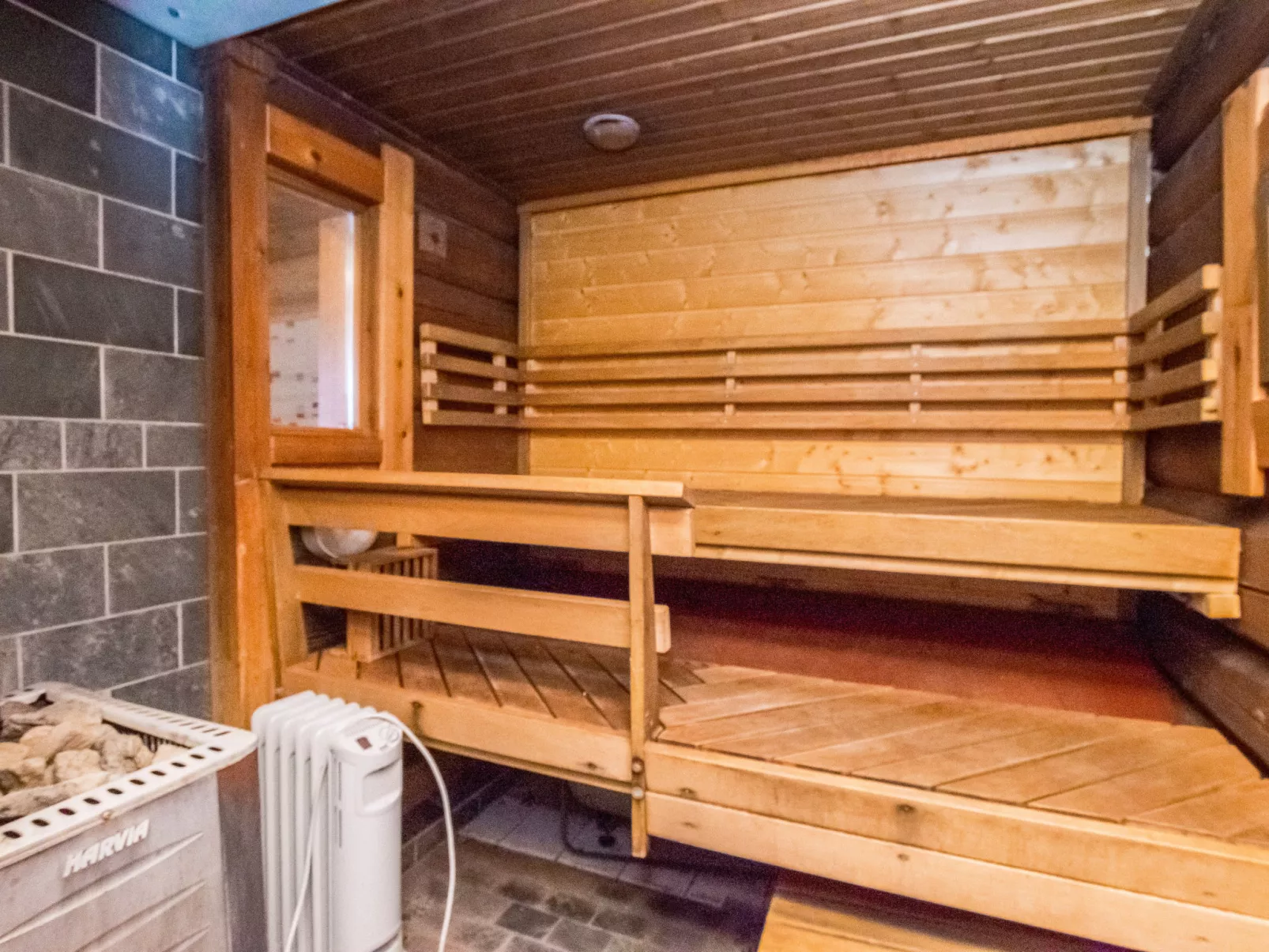 Luhtalemmikki - Dedans