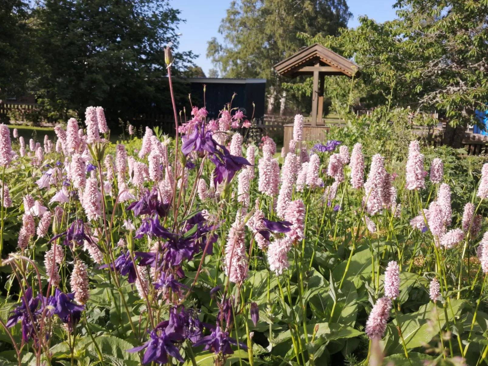 Buntes Schwedenhaus Lillebror - Draußen