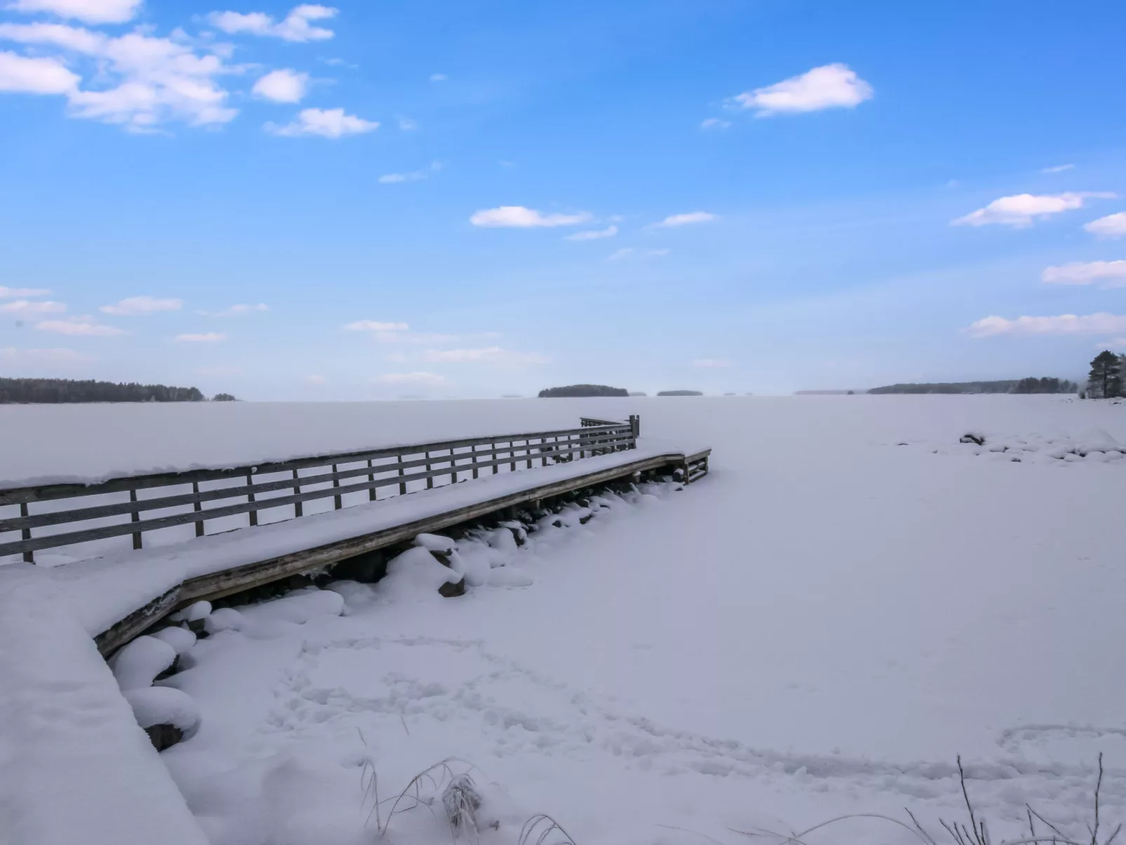 Luhtalemmikki - Dedans