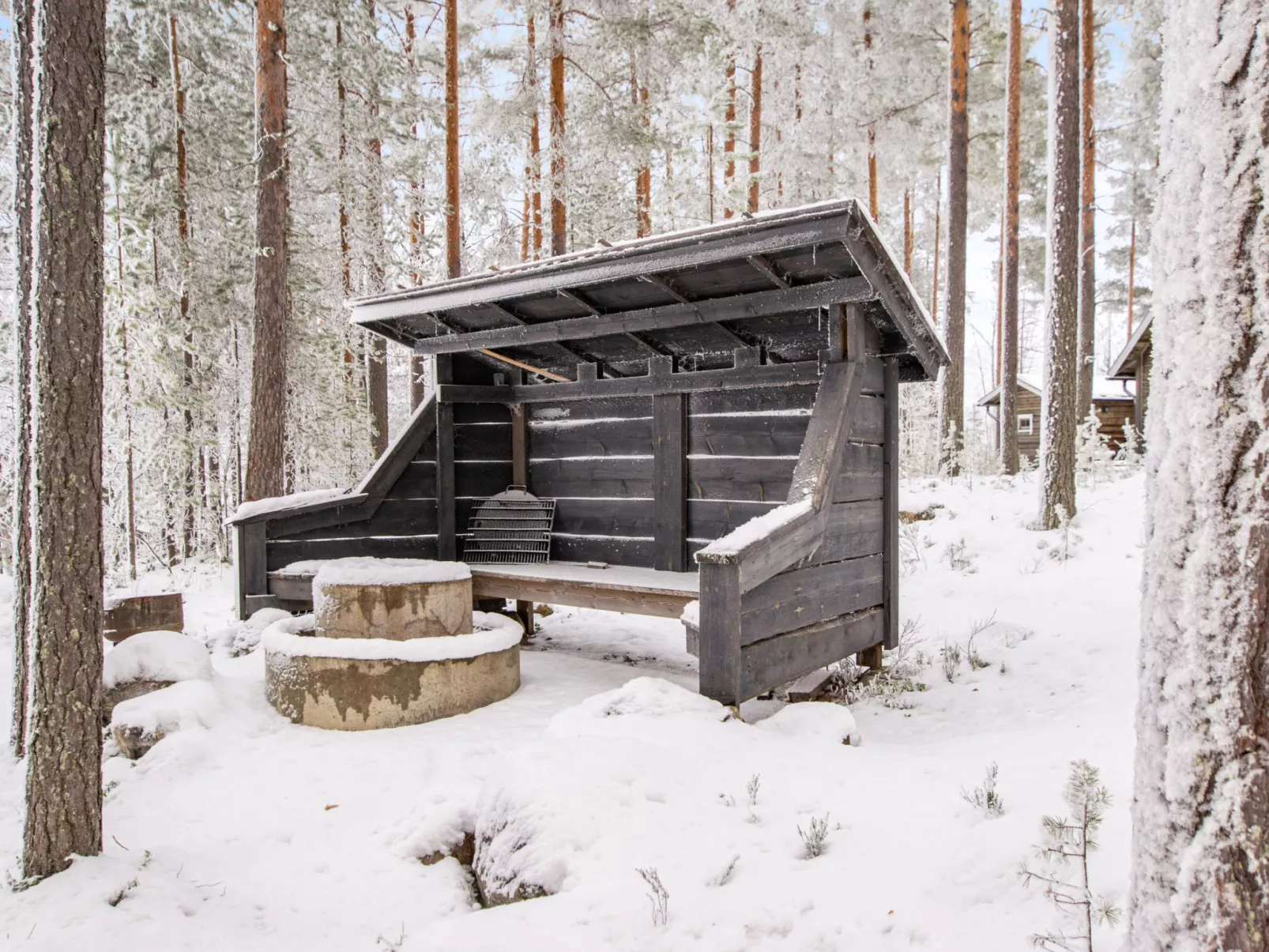 Kanervankukka - Dedans