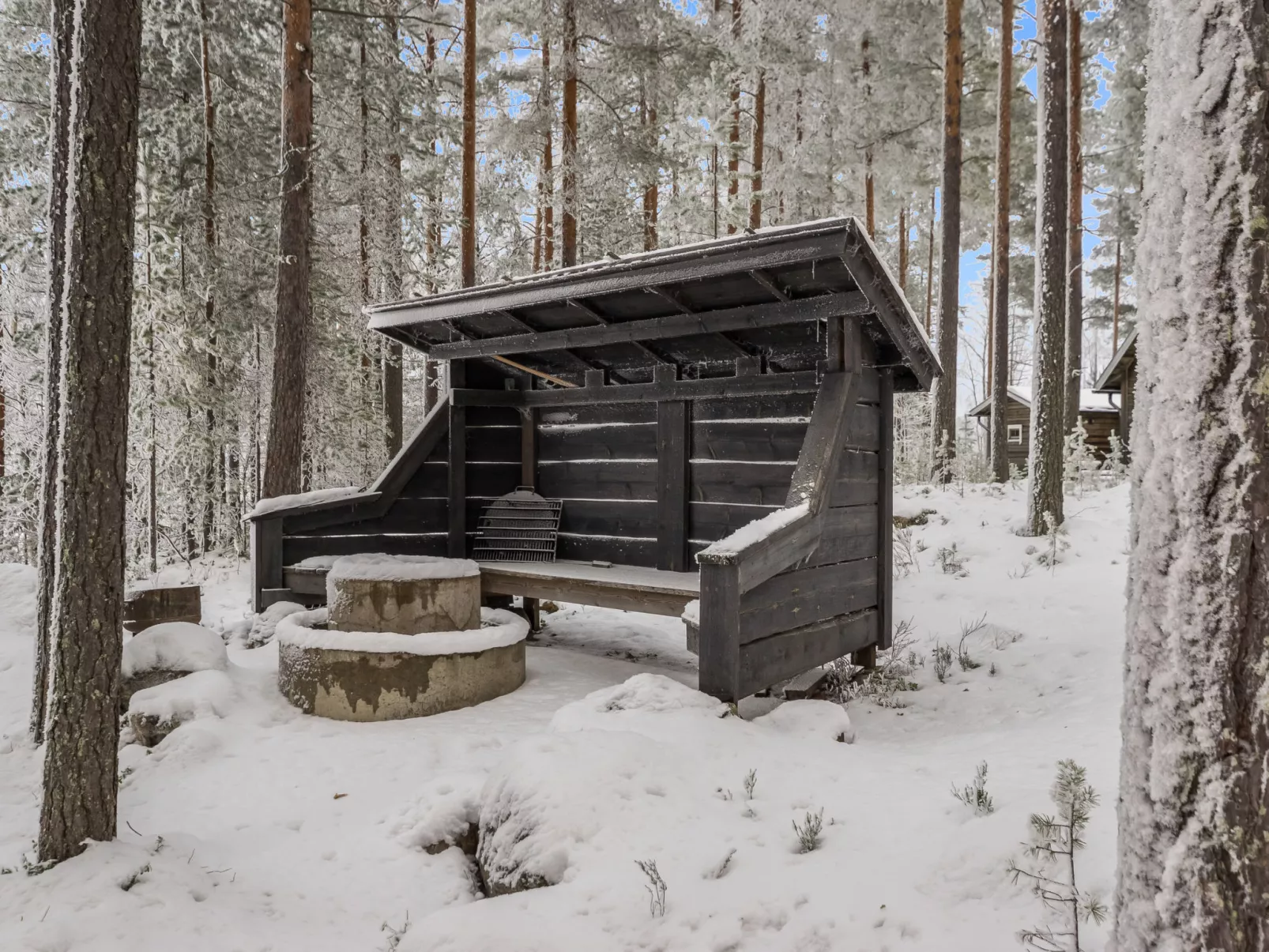 Luhtalemmikki - Dedans