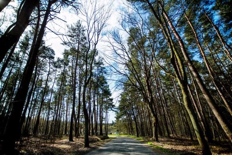 Dom wakacyjny w Karwieńskich Błotach - Areas within 1km in summer