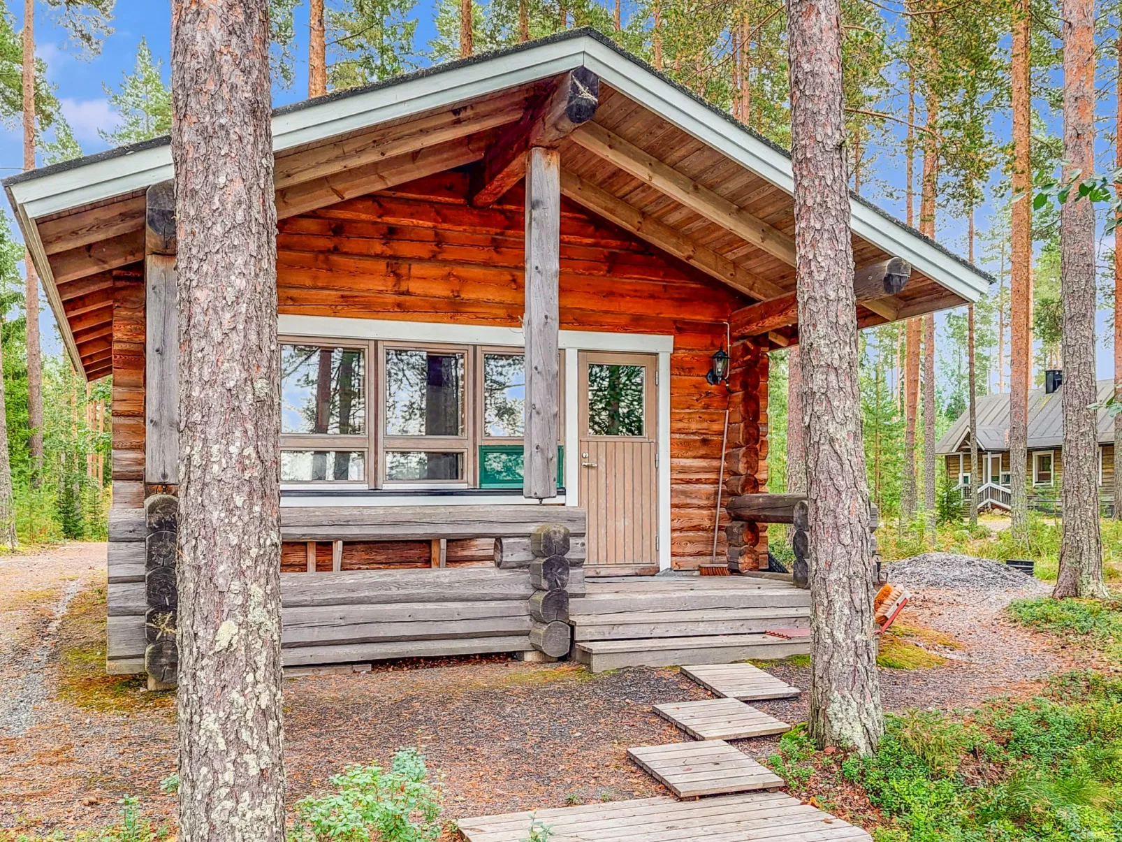 Luhtalemmikki - Dedans