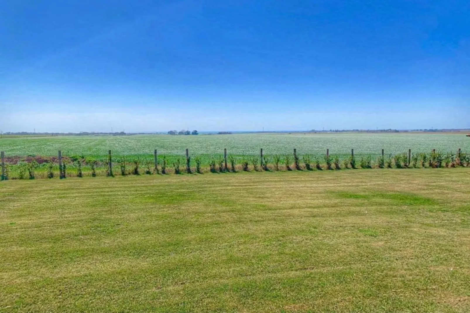 Lavanda - Gebiete Sommer 20 km