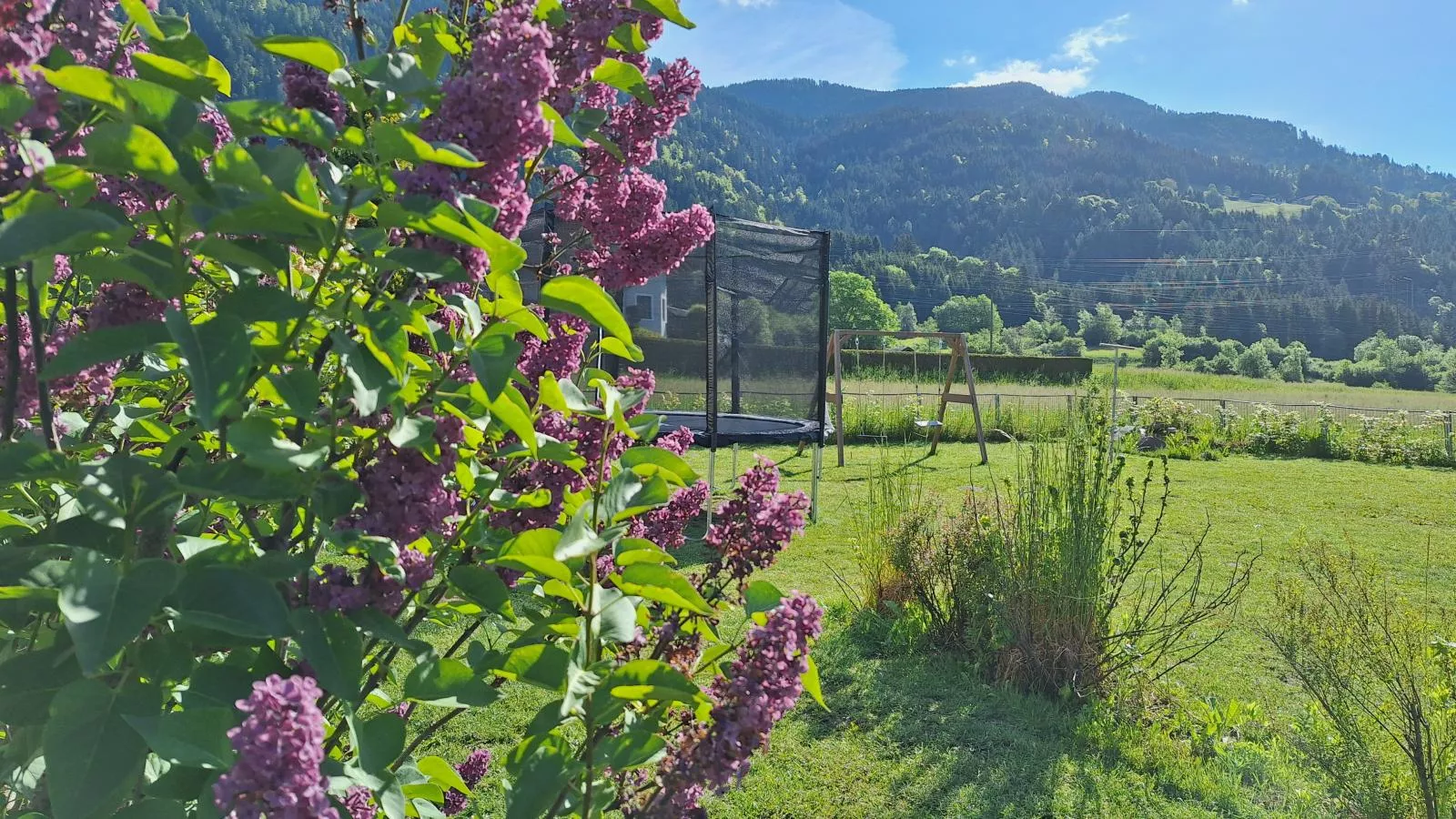 Jukbichl - Gardens in summer